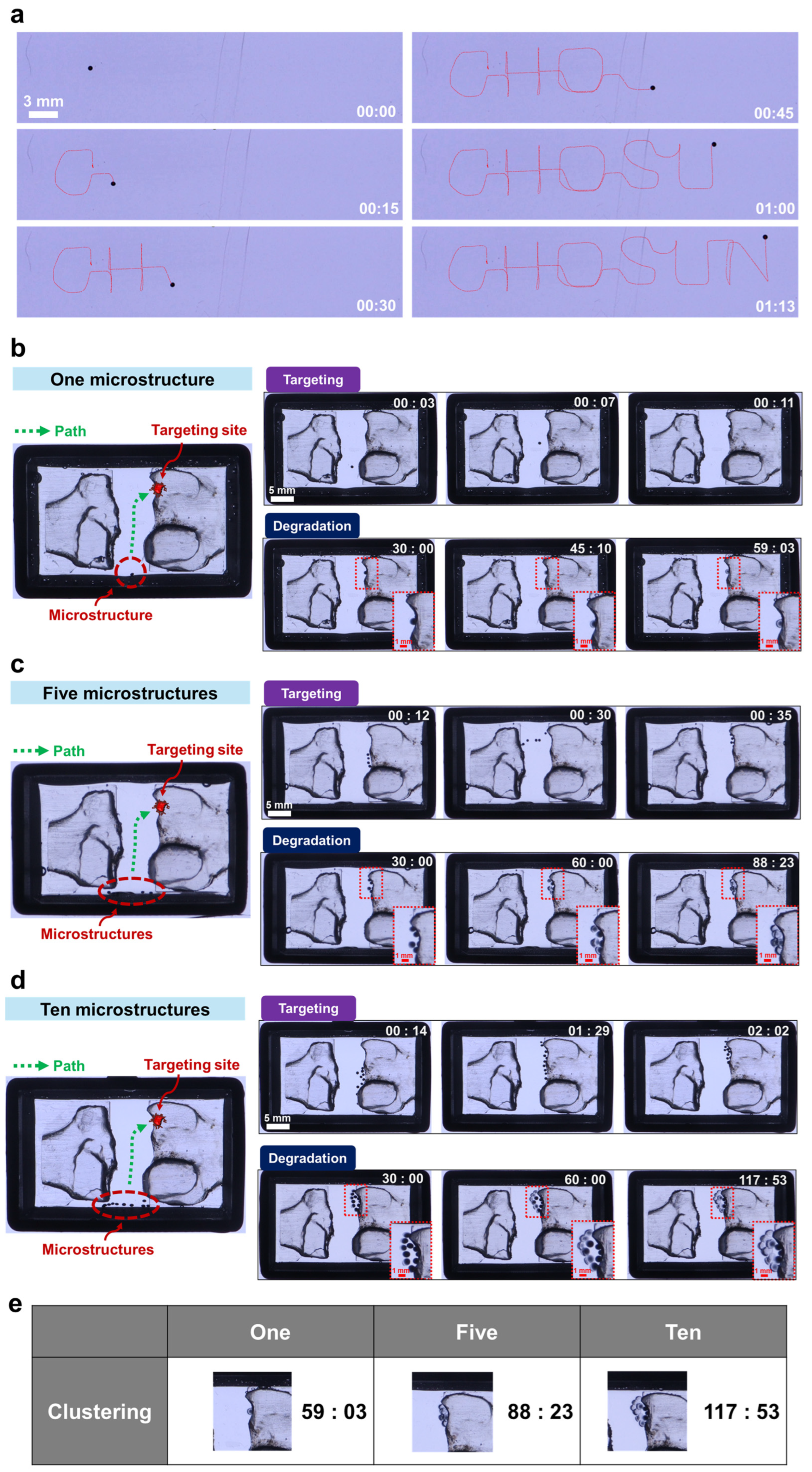 Actuators 14 00232 g005