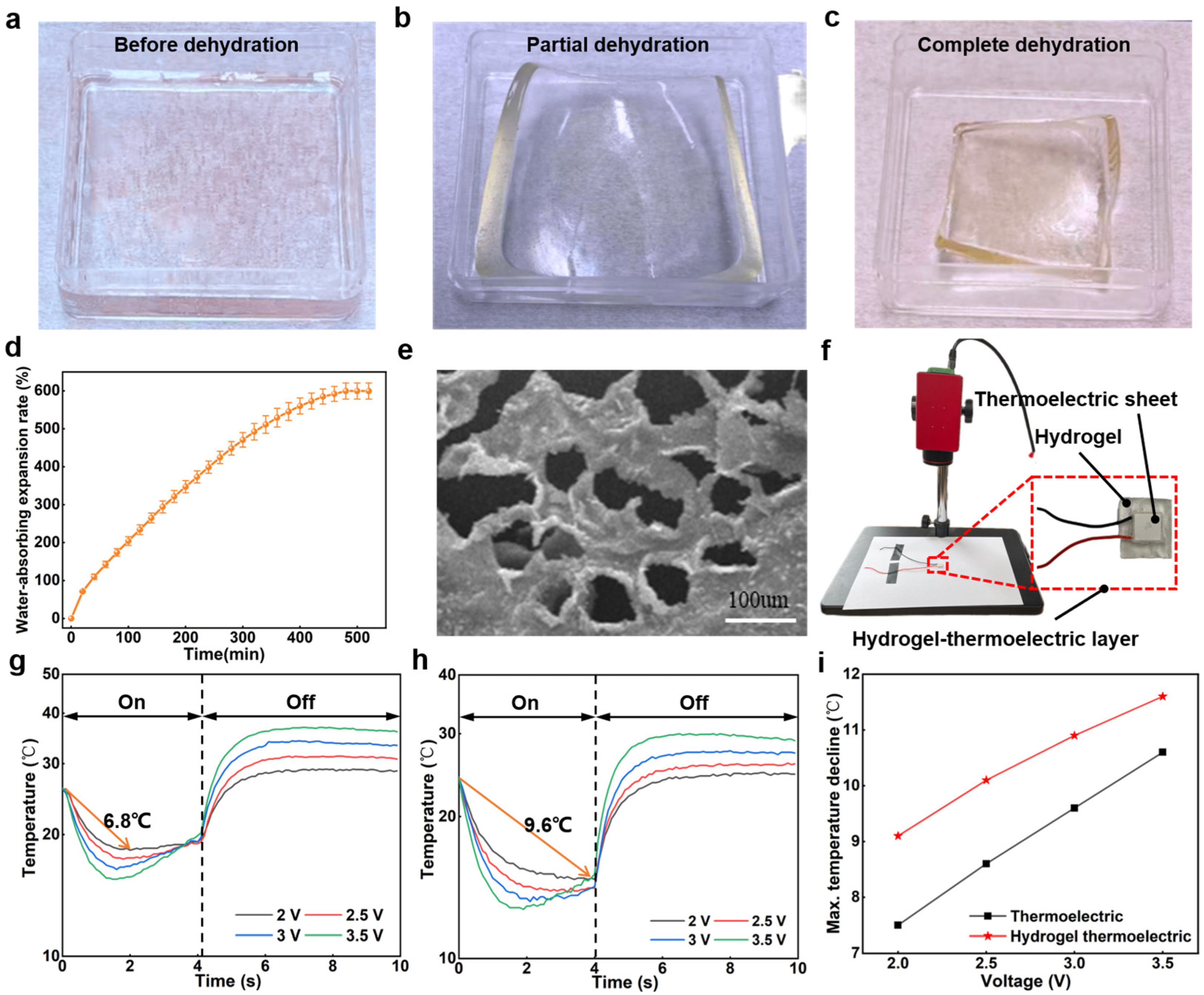 Actuators 14 00248 g006