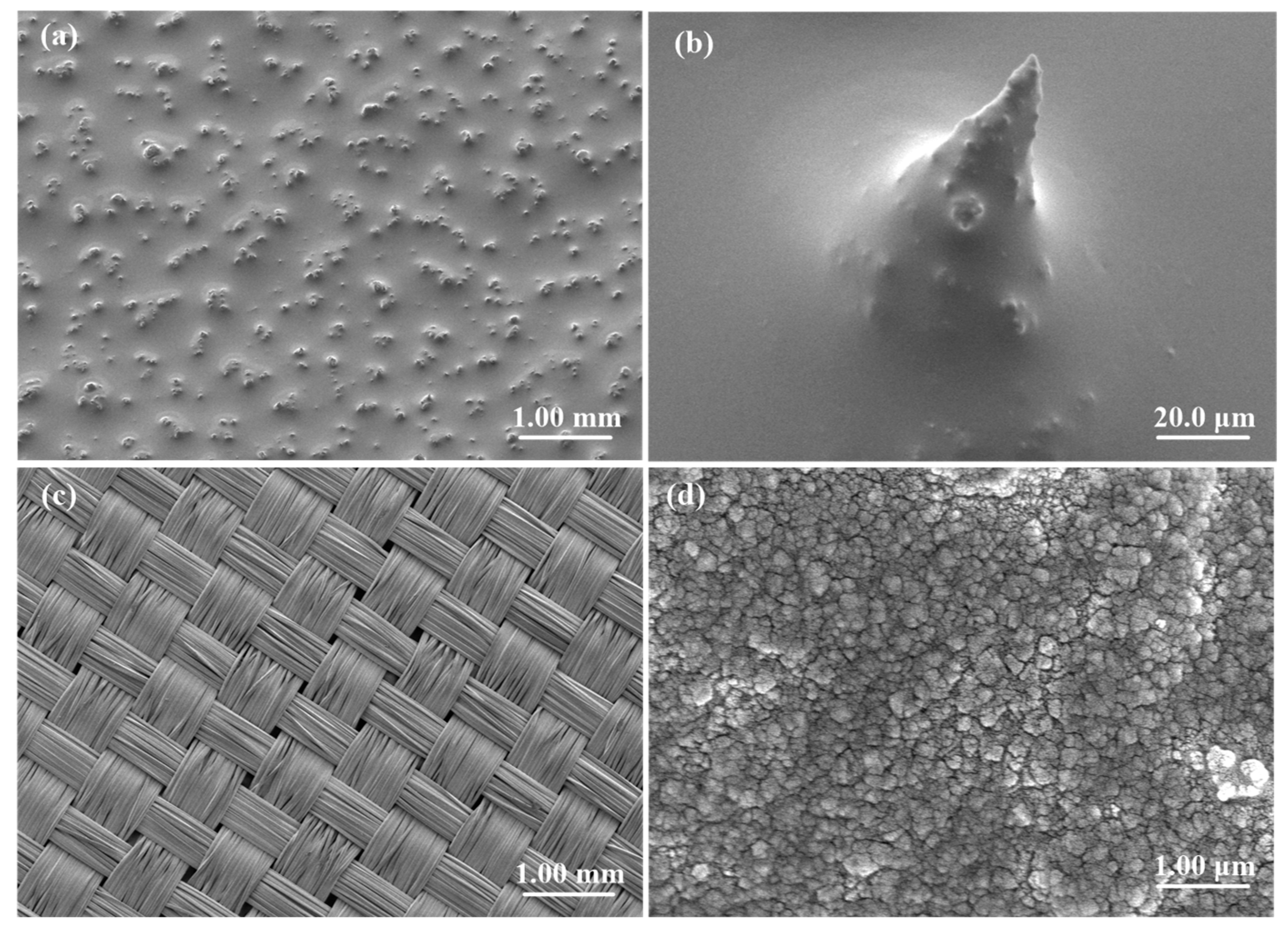 Actuators 14 00251 g003