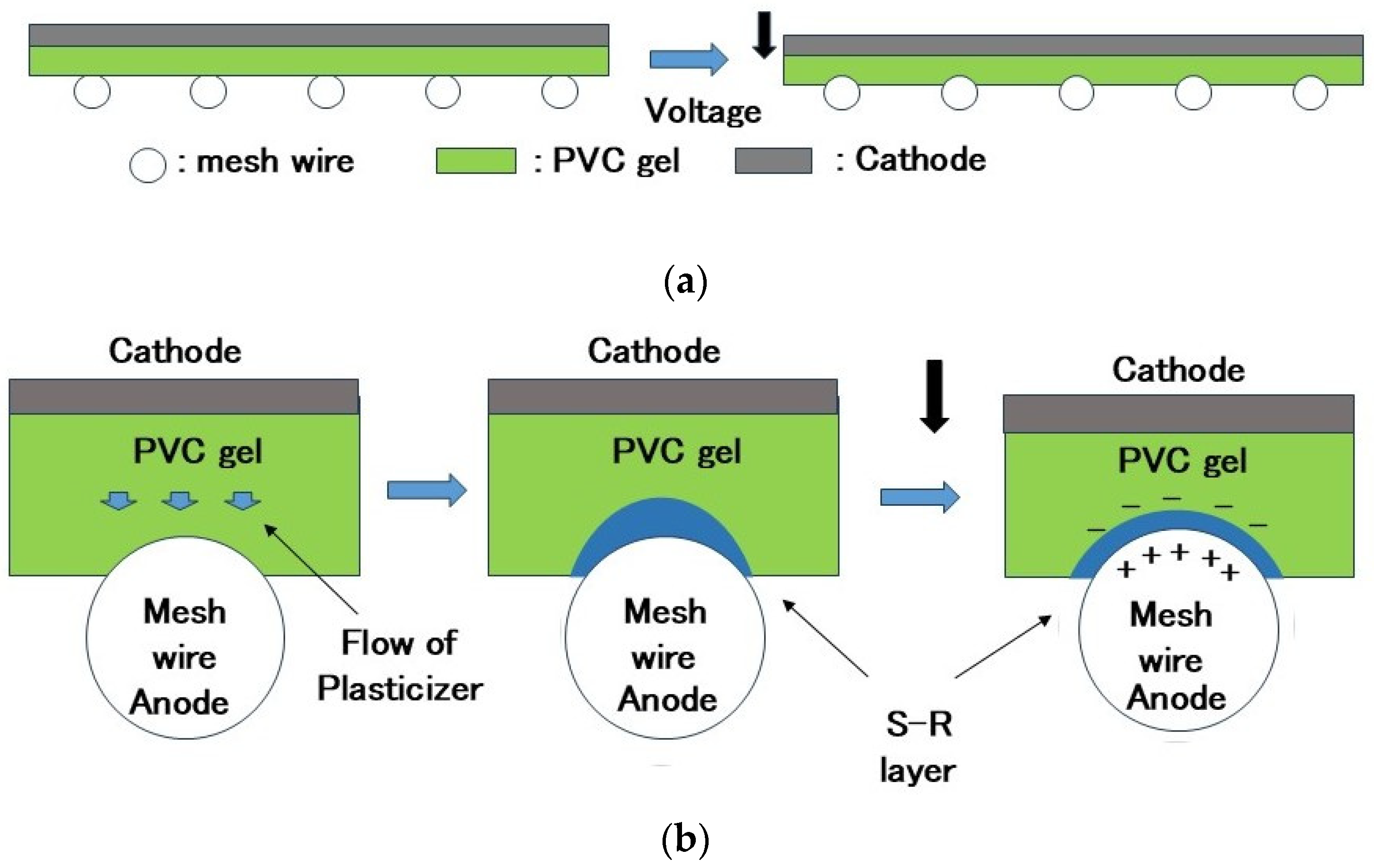 Actuators 14 00404 g012