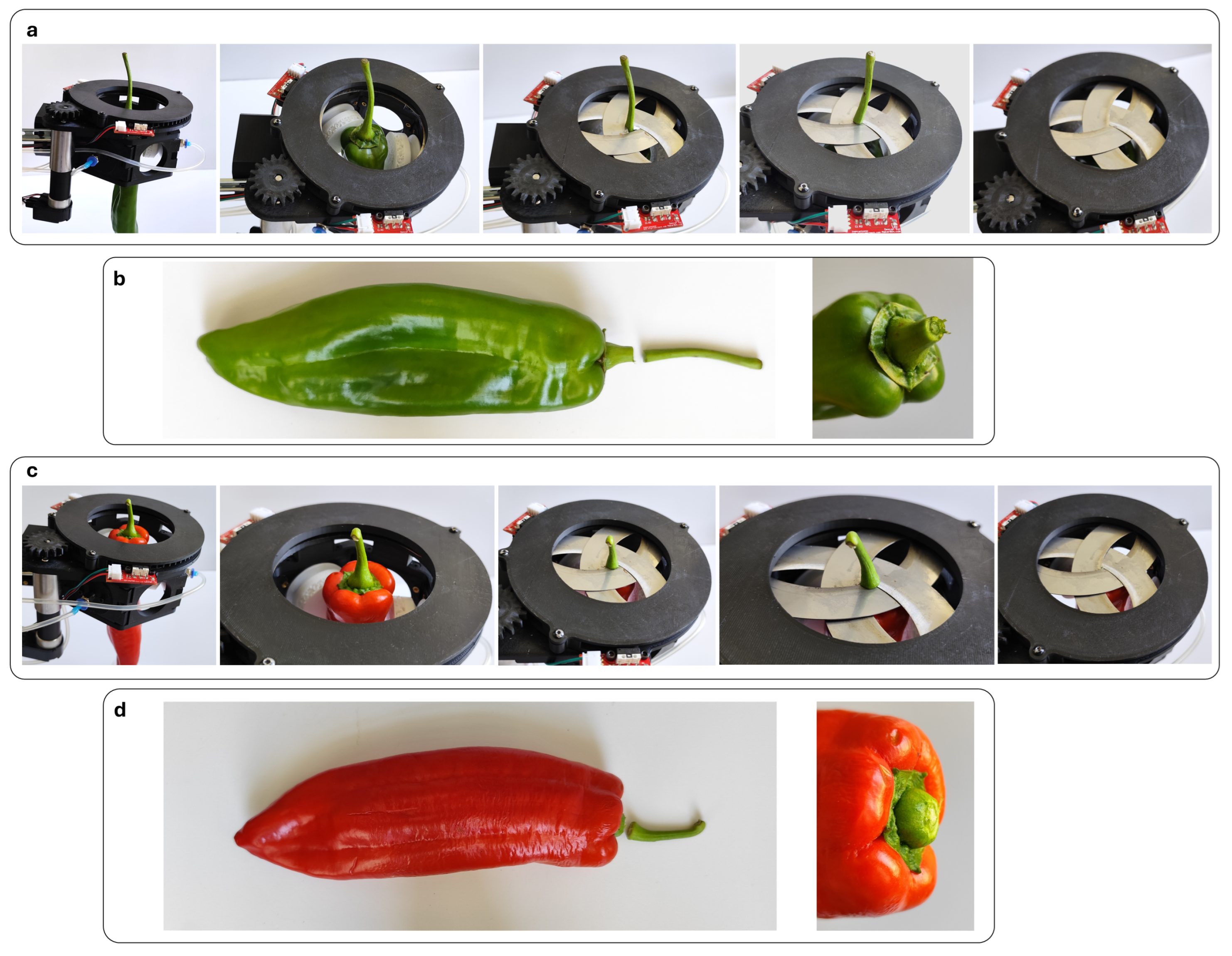 Actuators 14 00432 g007