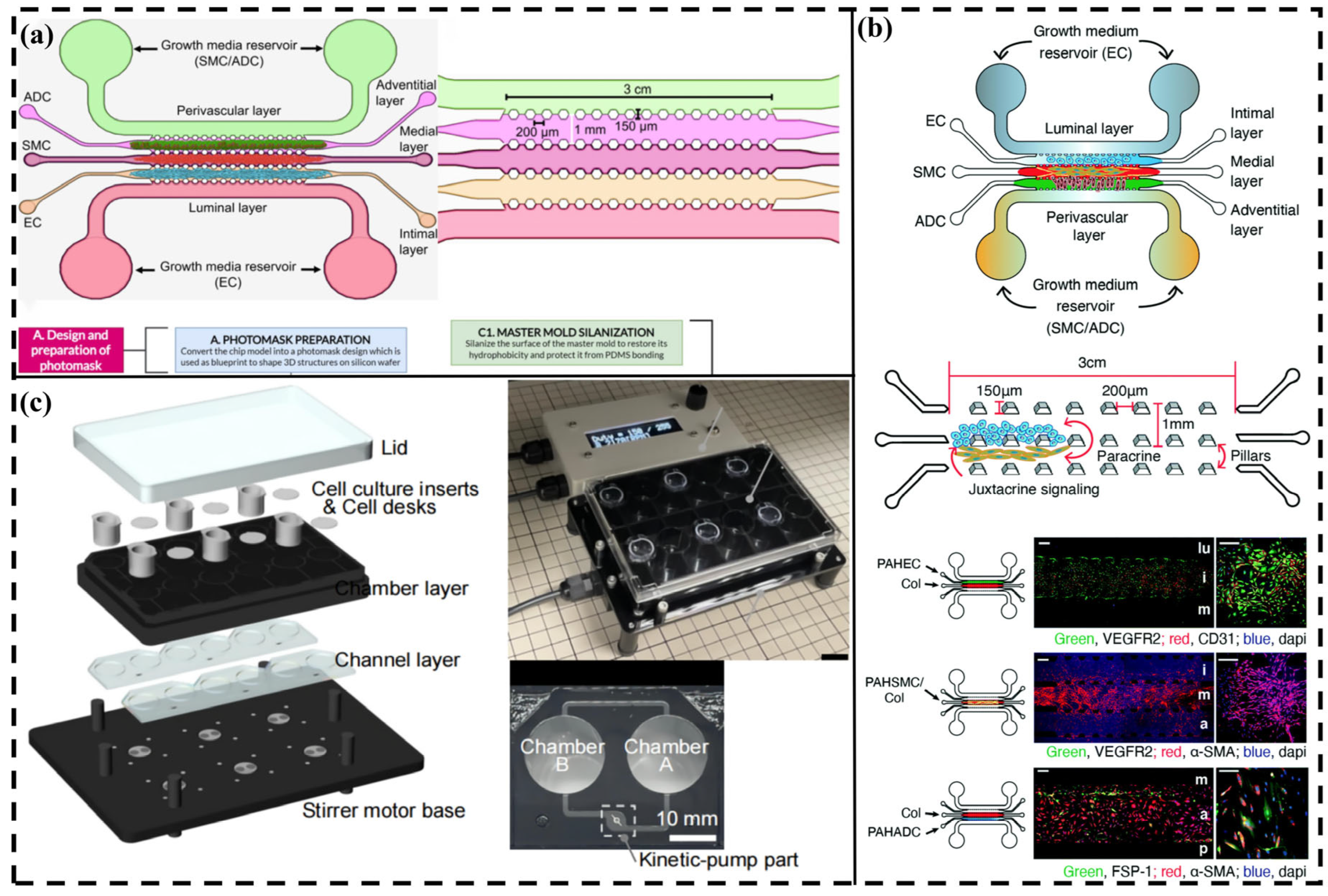Actuators 14 00460 g009