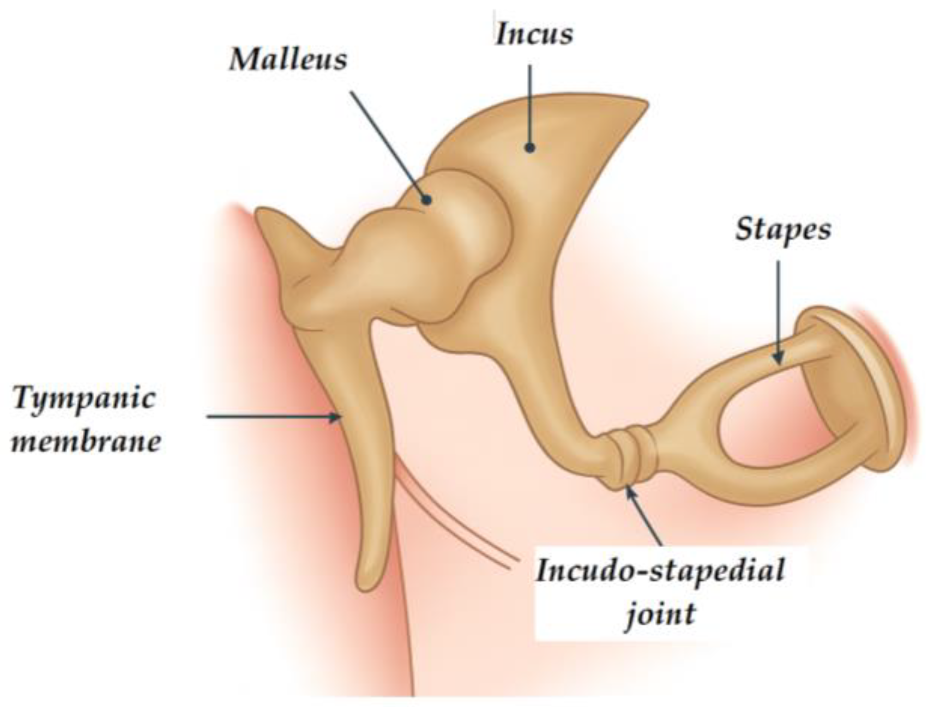 Actuators 14 00502 g001 Actuators 14 00502 g001