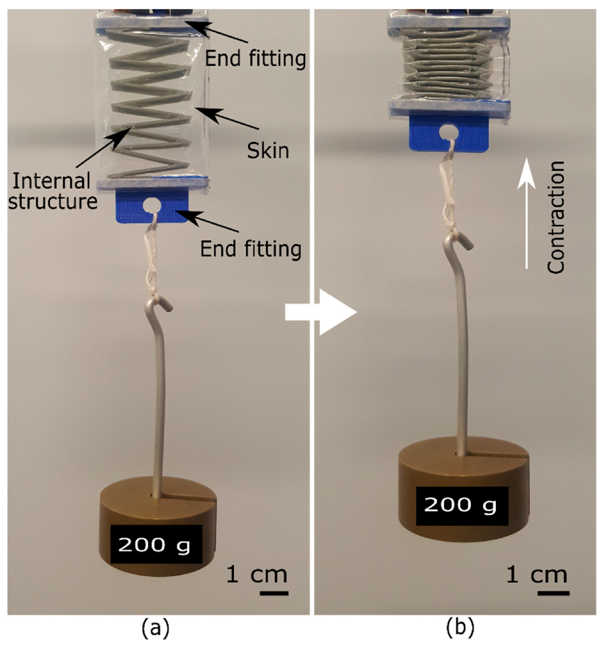 Actuators 14 00582 g005