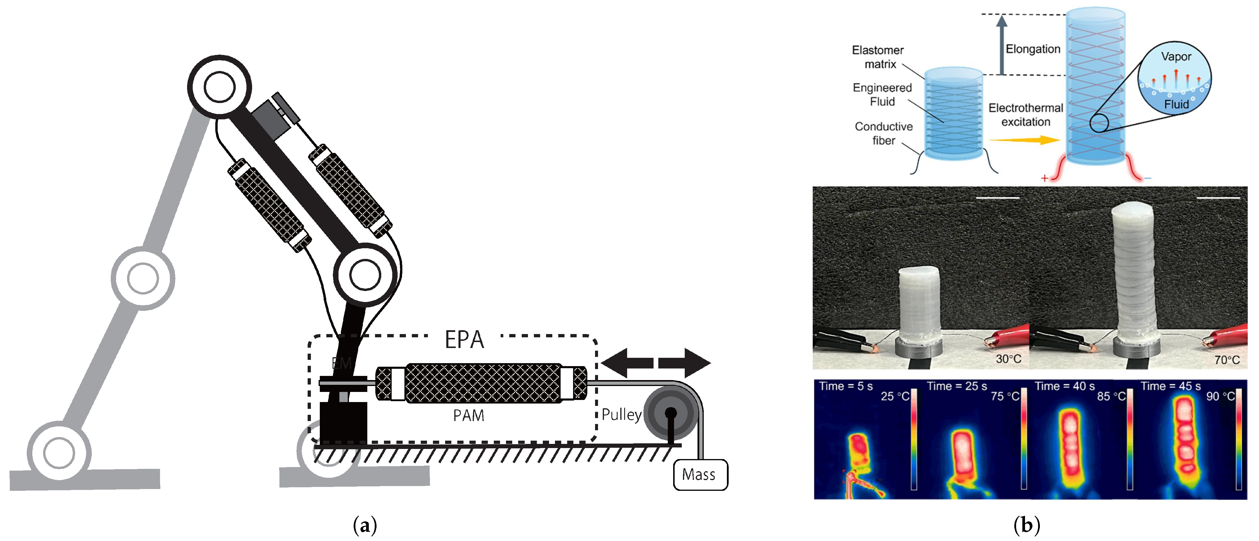 Actuators 14 00582 g010
