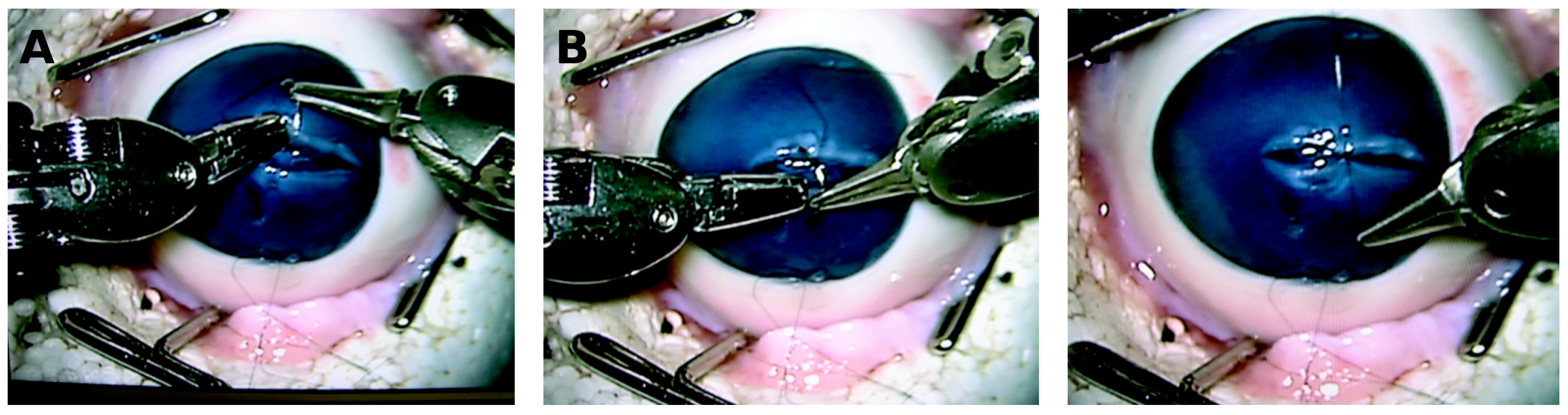 Actuators 14 00587 g006 Actuators 14 00587 g006