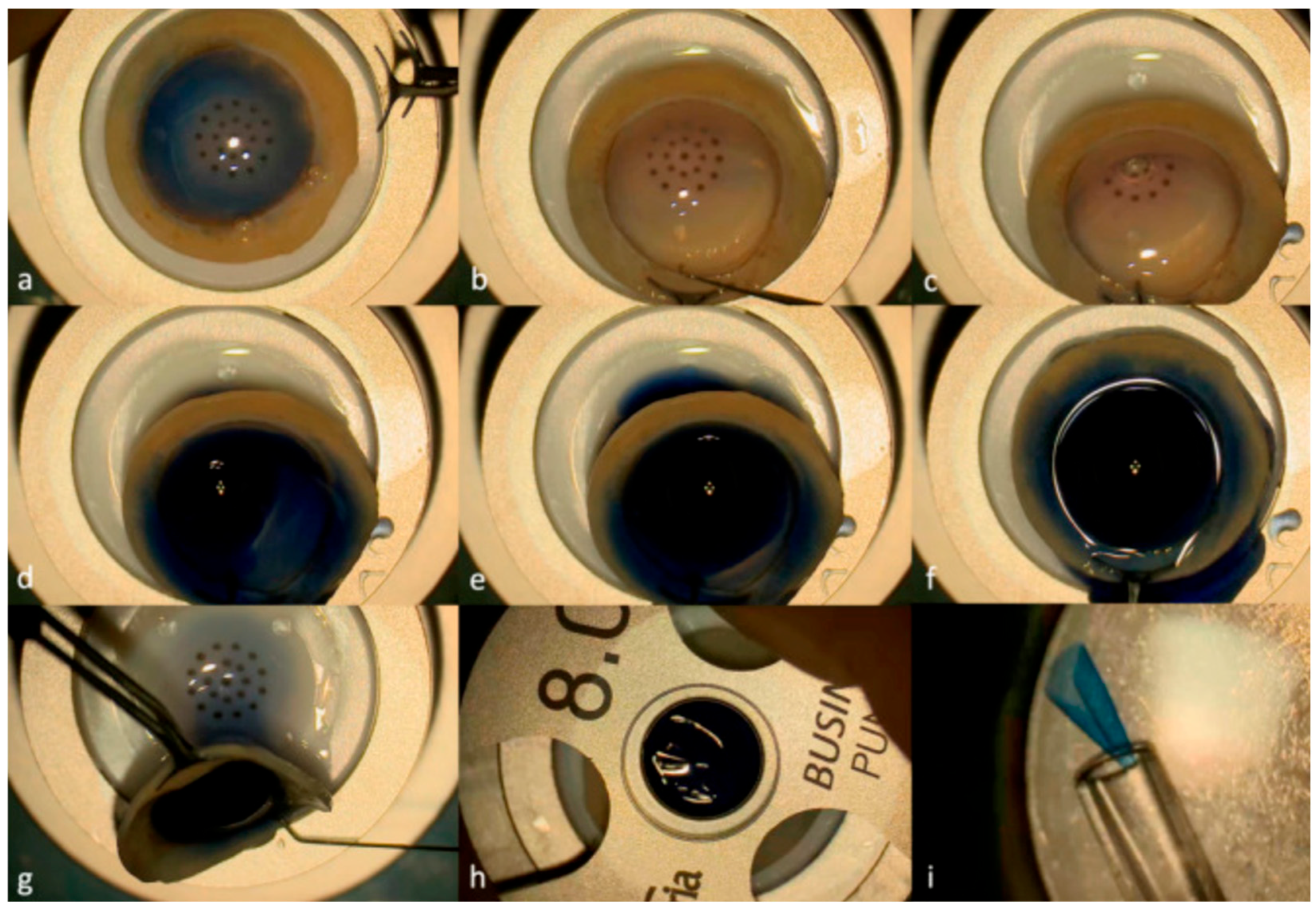 Actuators 14 00587 g010 Actuators 14 00587 g010