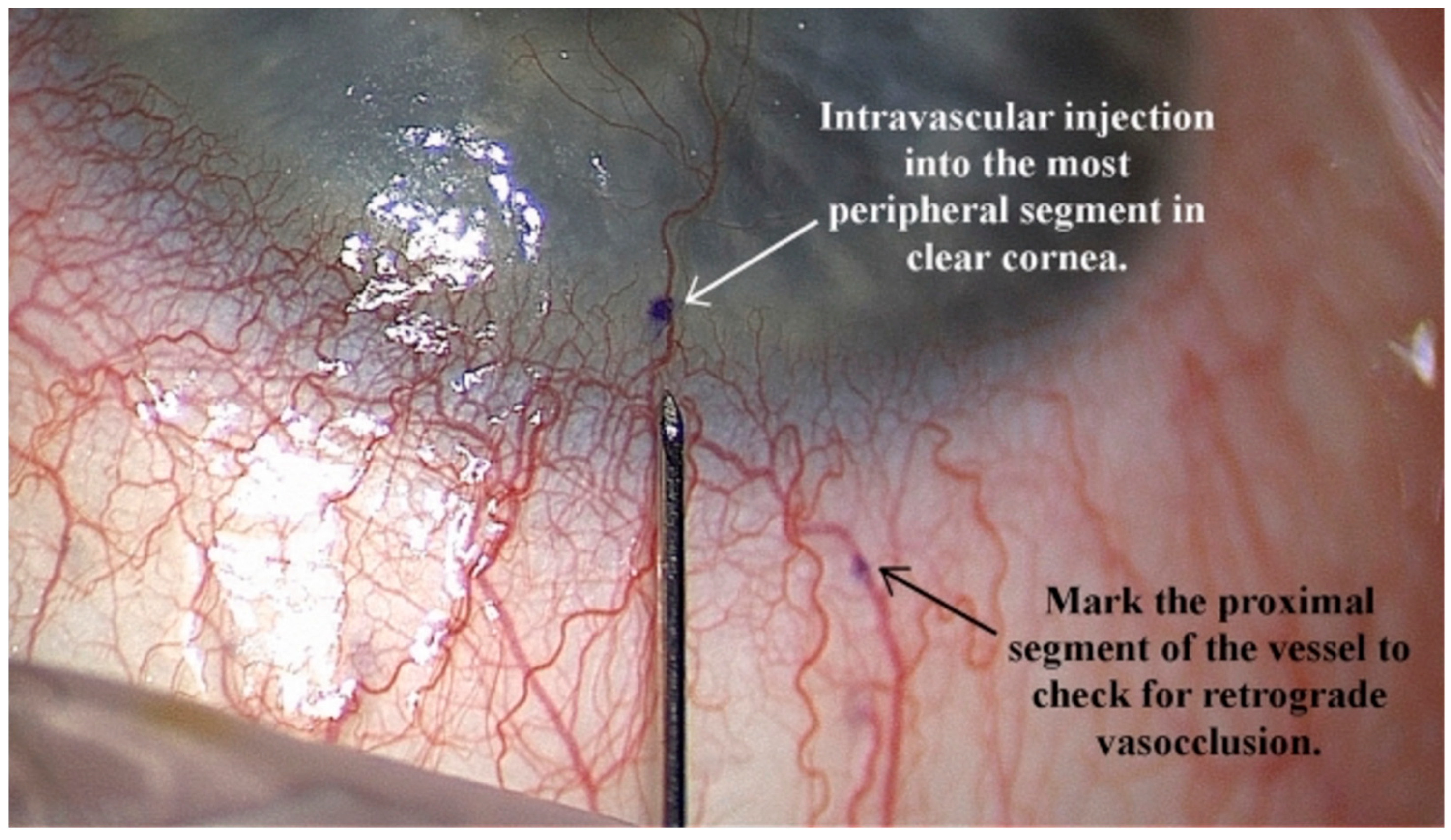Actuators 14 00587 g011 Actuators 14 00587 g011