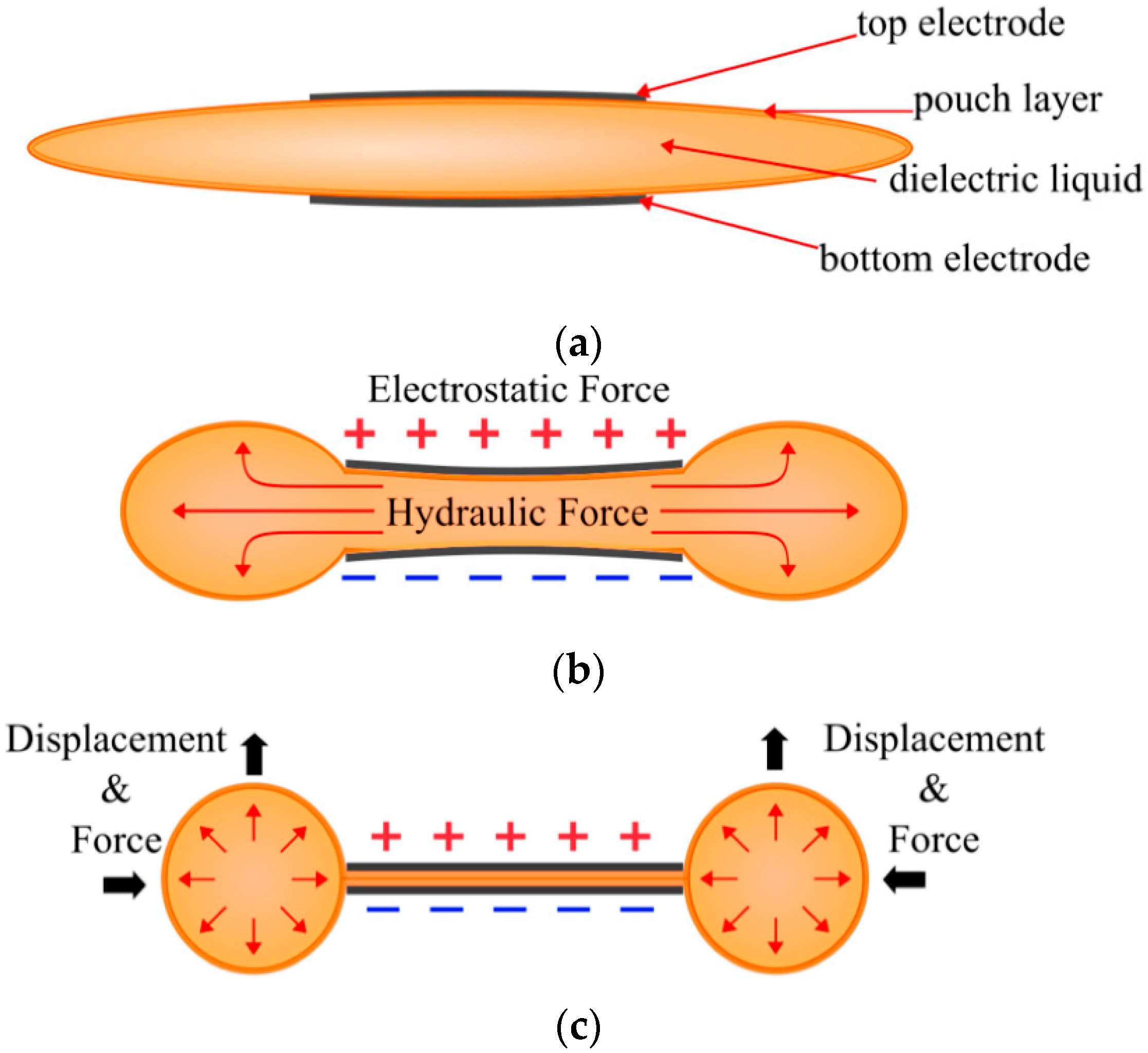 Actuators 14 00601 g001 Actuators 14 00601 g001