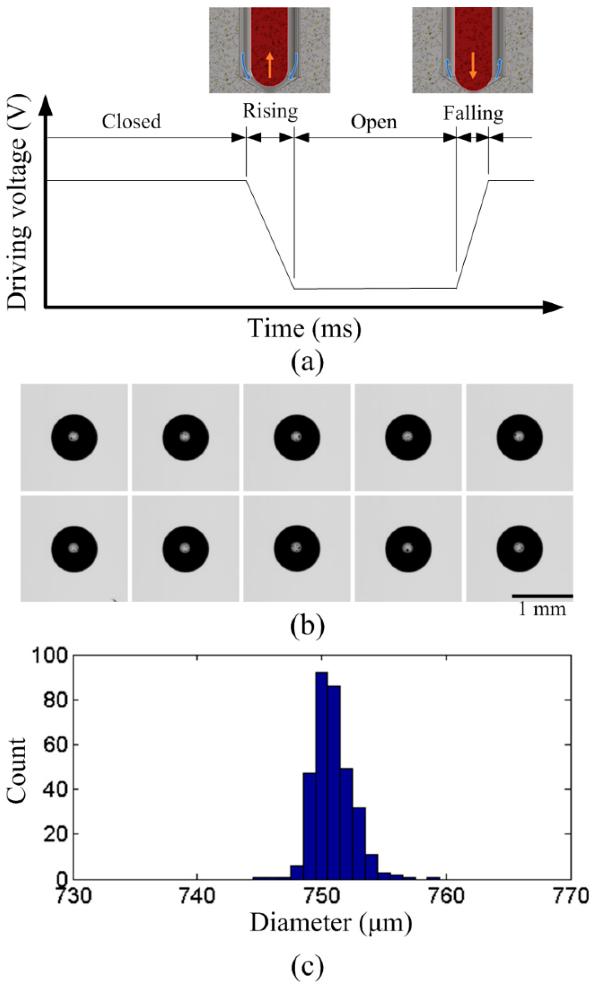 Actuators 14 00612 g009