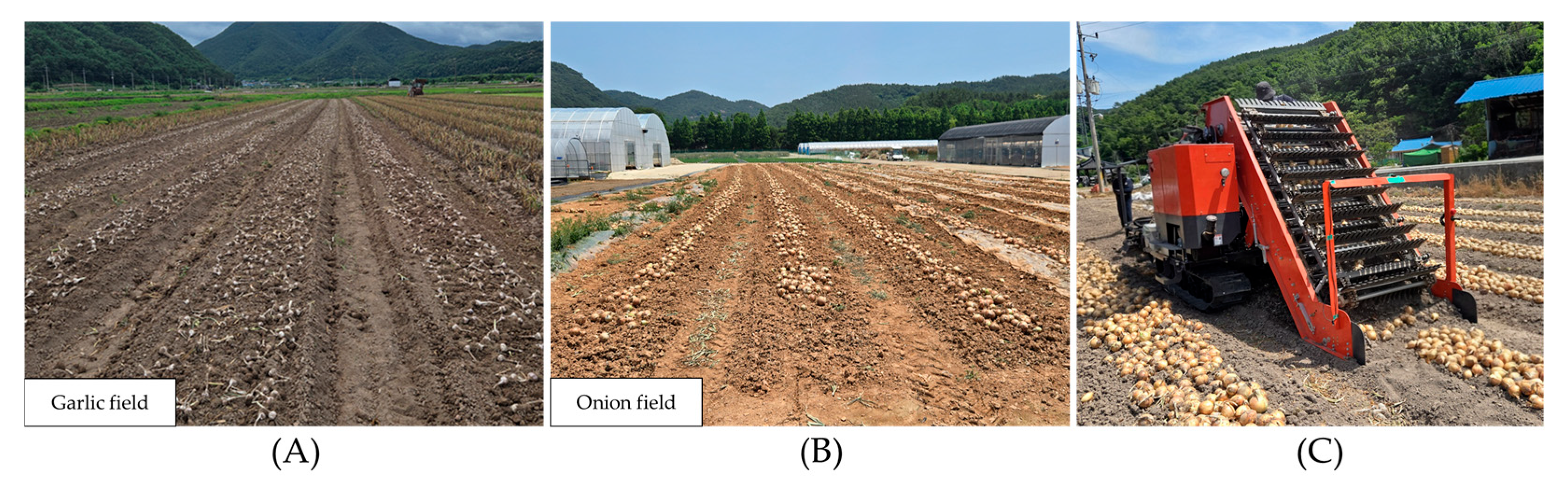 Actuators 15 00008 g006