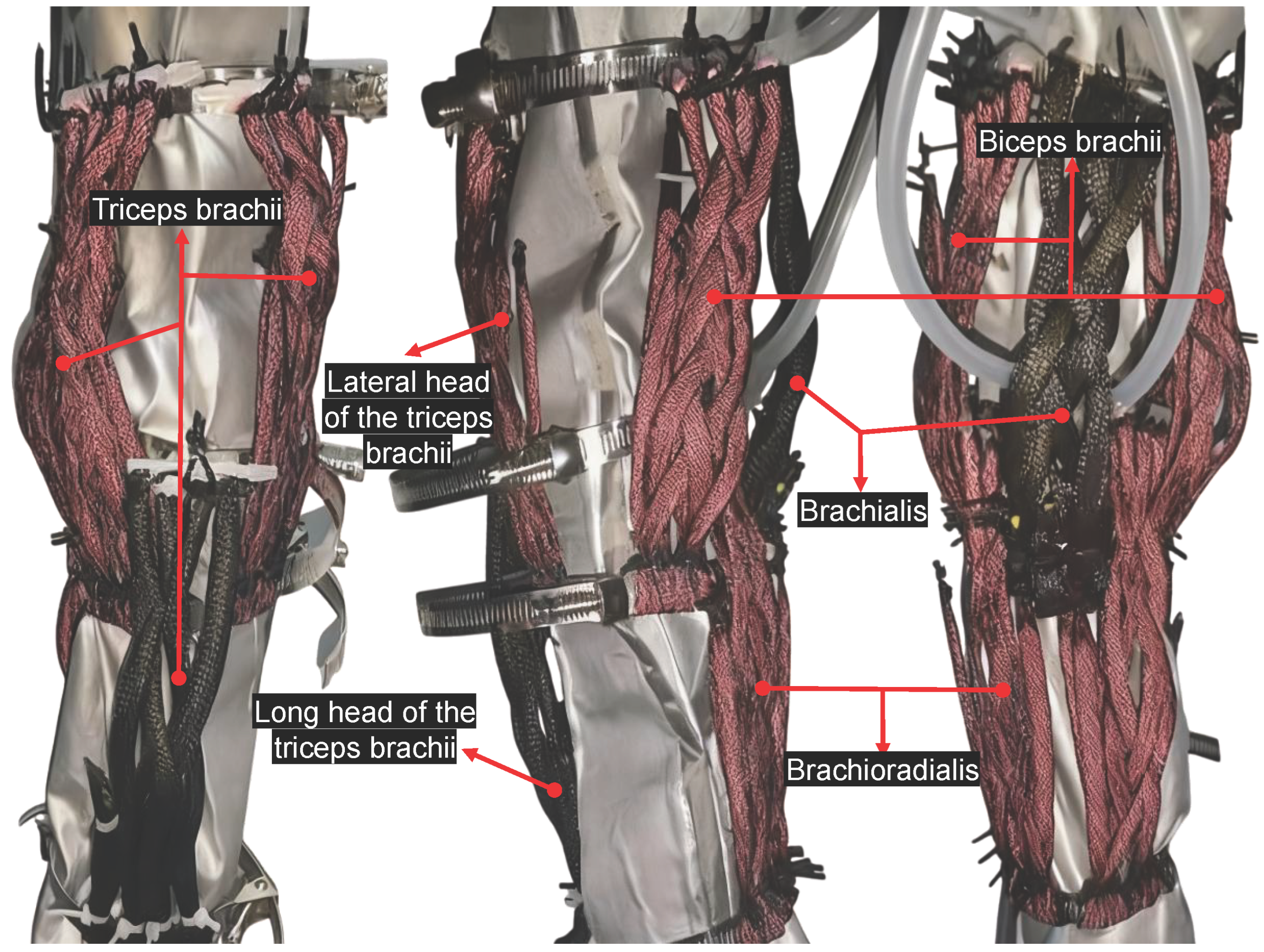 Actuators 15 00021 g002