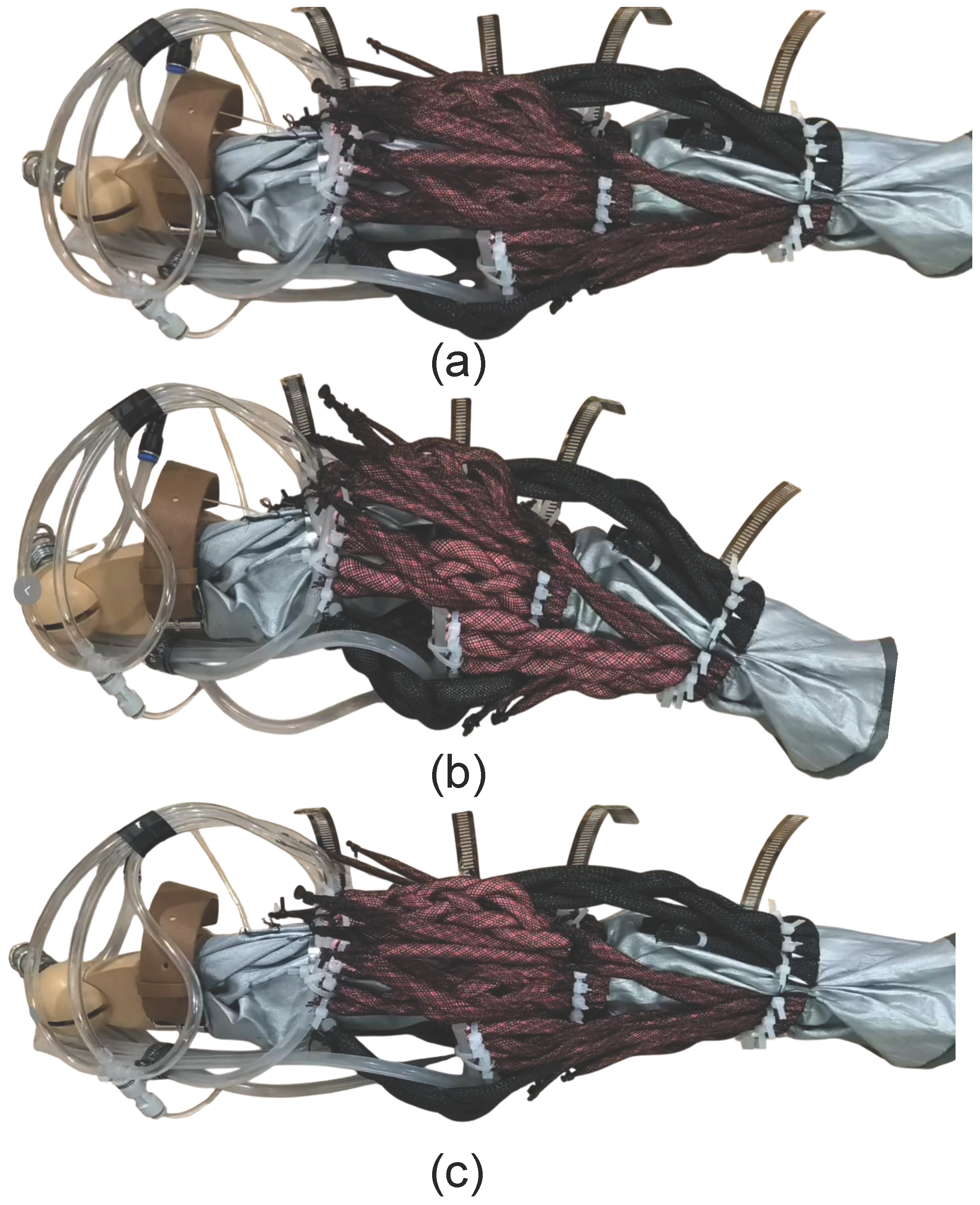 Actuators 15 00021 g012