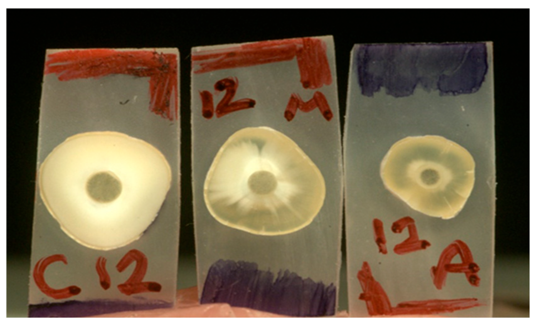 Adhesives 01 00008 g001