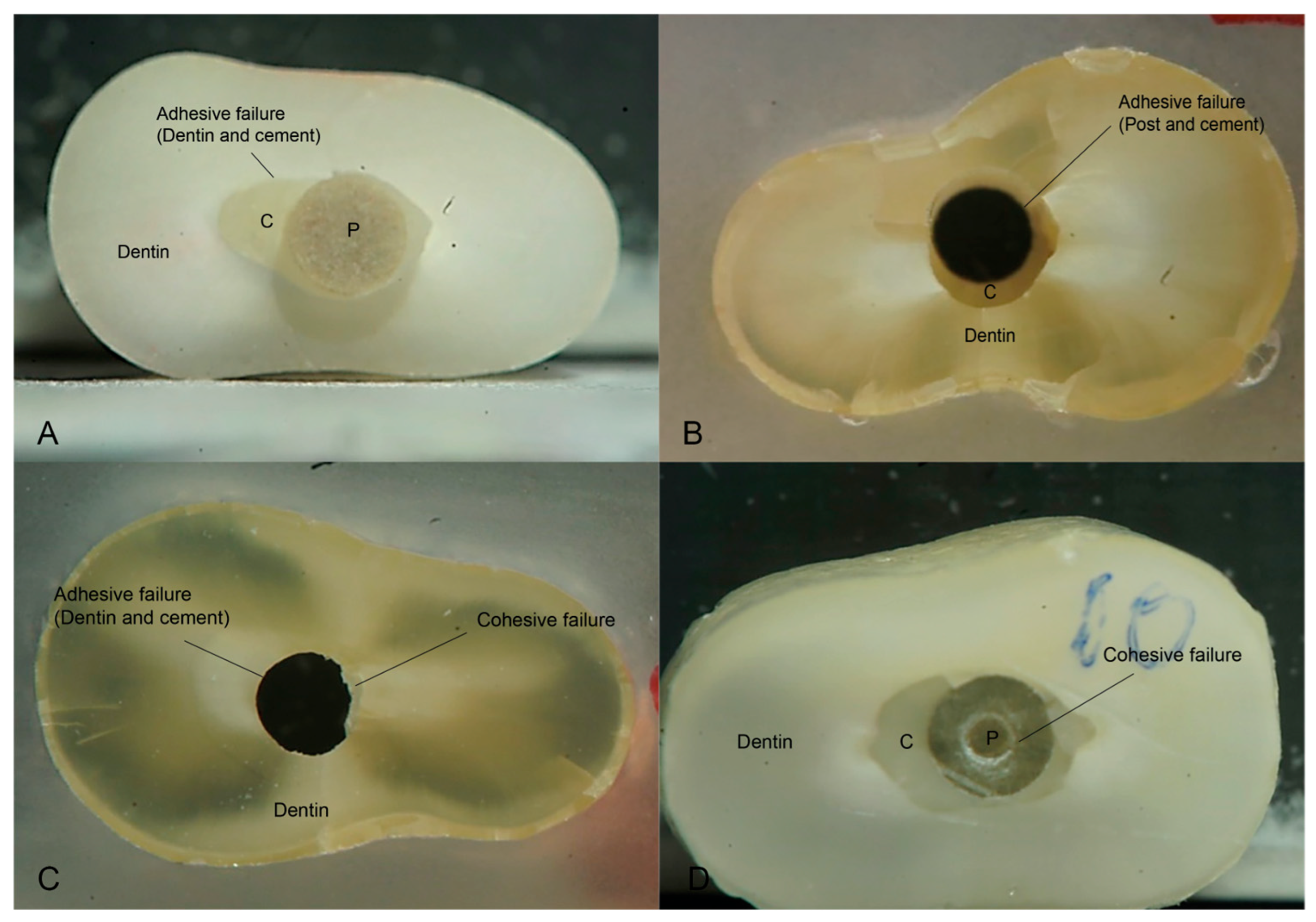 Adhesives 01 00008 g003