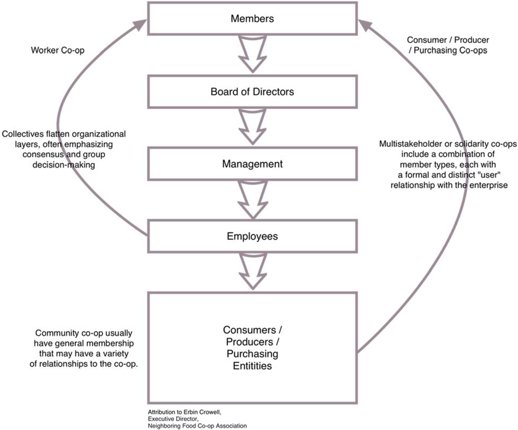 Administrative Sciences Free FullText Learning from the Co