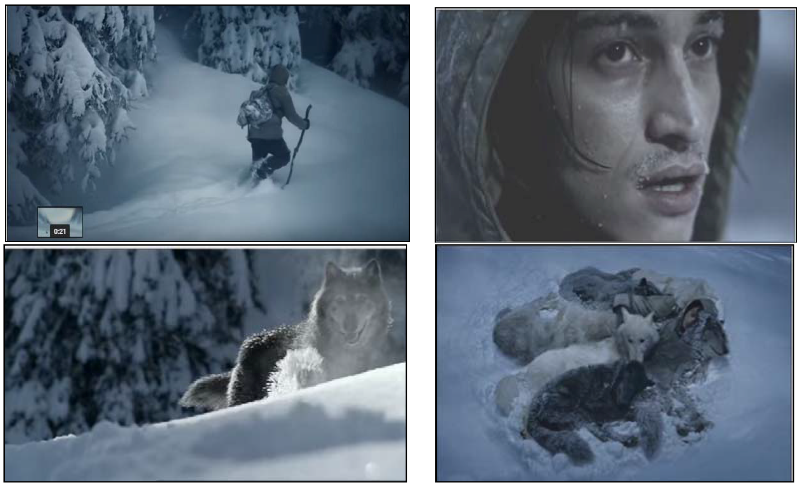 Admsci 06 00005 g003 1024