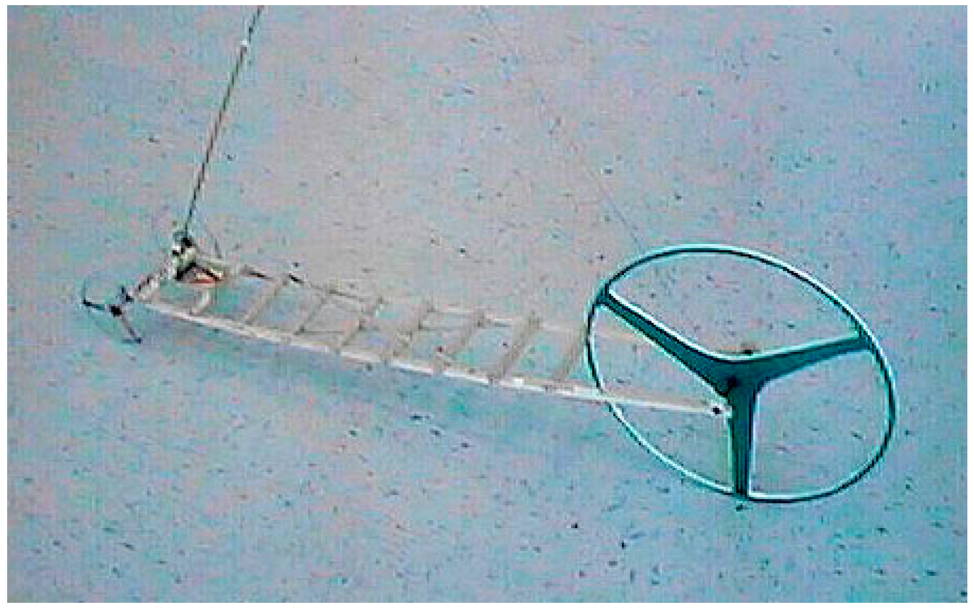 Admsci 07 00023 g006 550