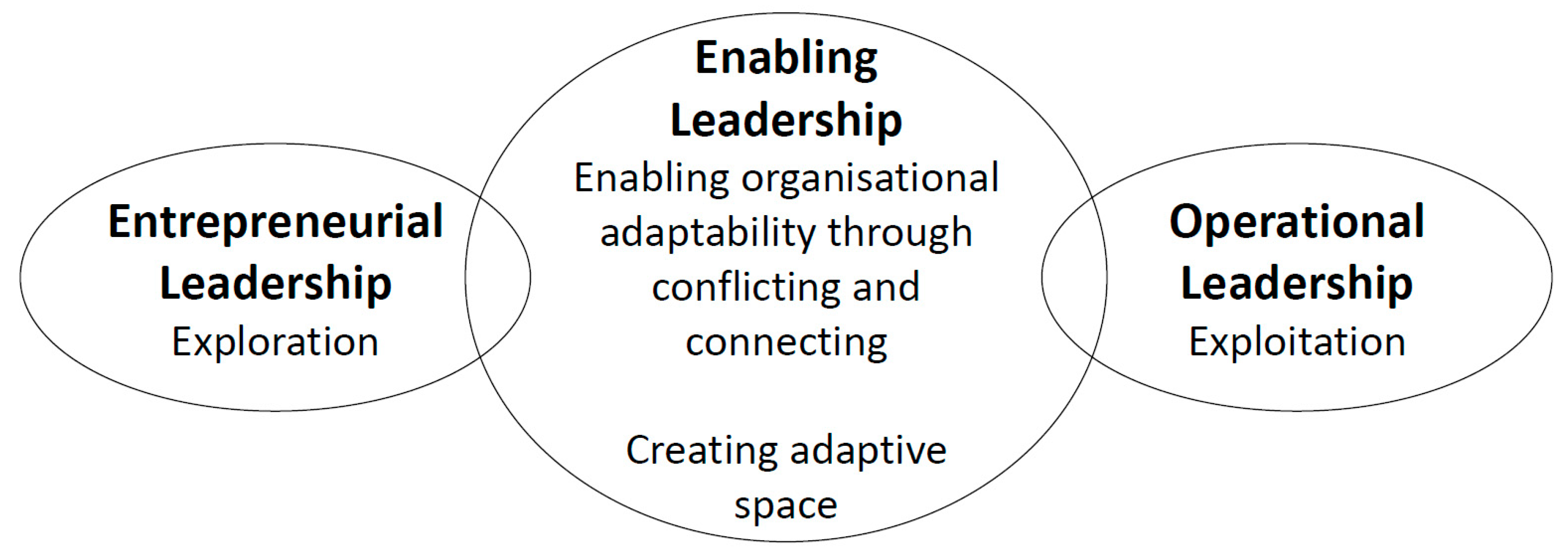 leadership development studies a humanities approach
