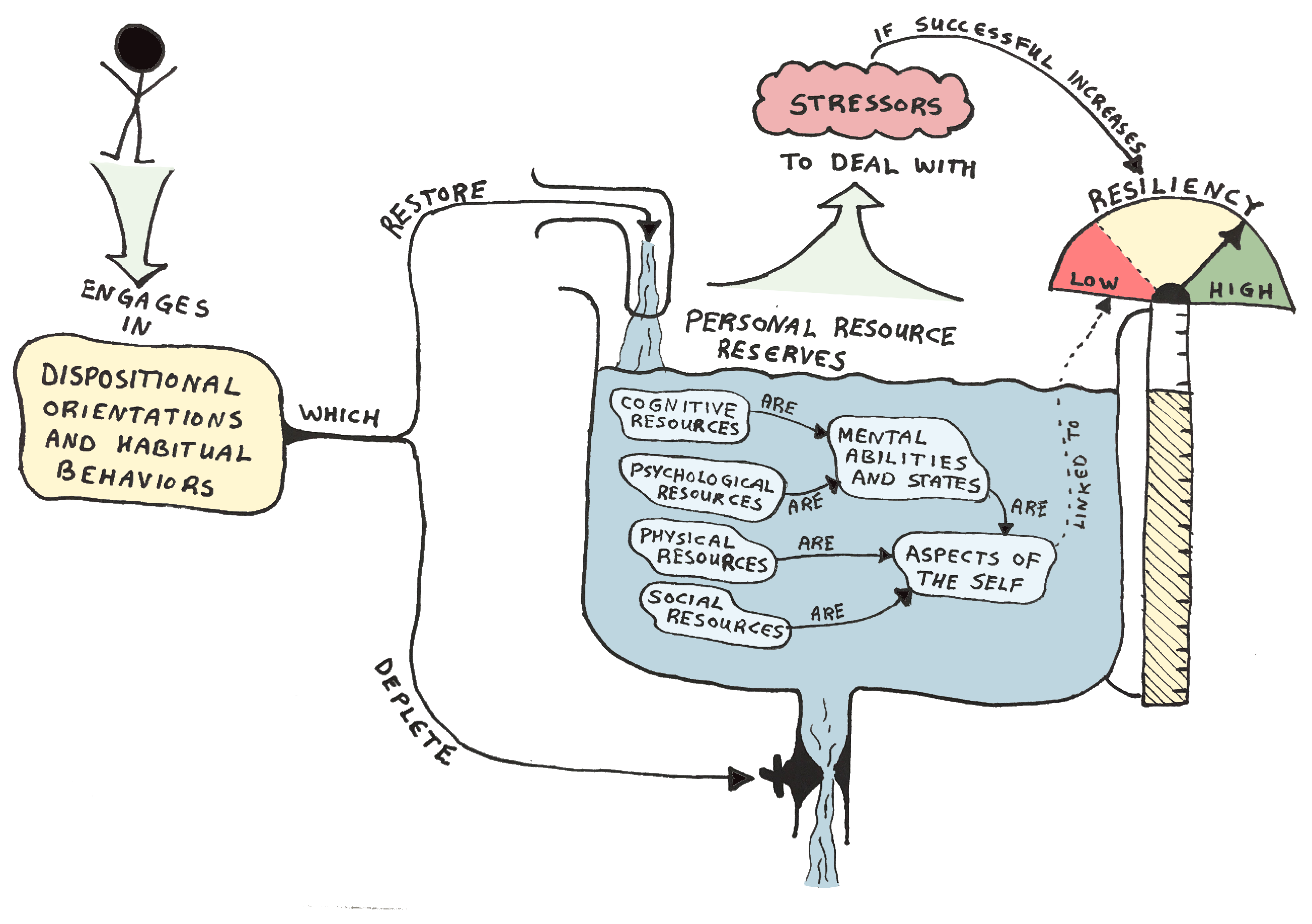 Admsci 11 00110 g005