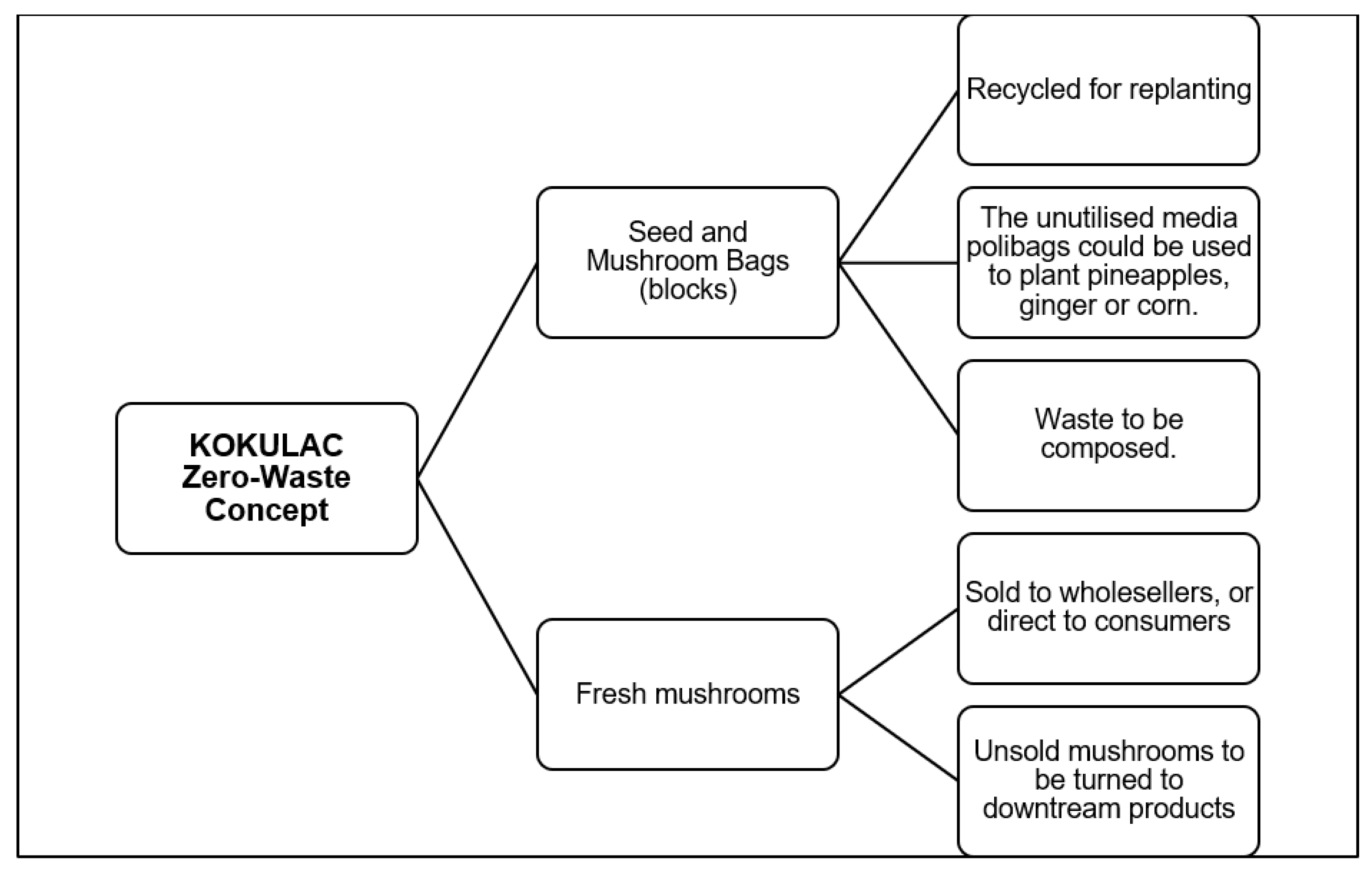 Admsci 12 00103 g003 550