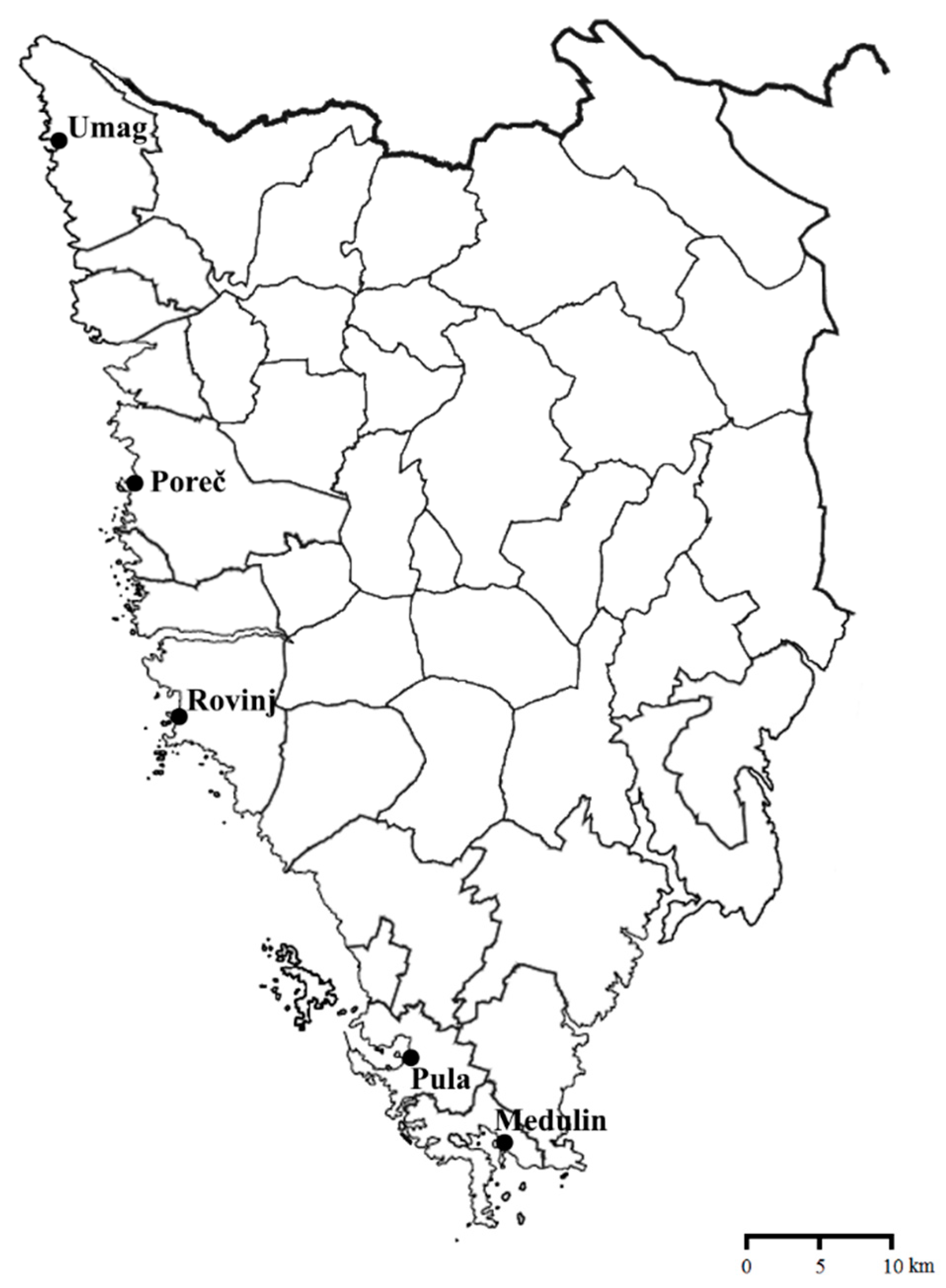 Admsci 12 00181 g001 Admsci 12 00181 g001