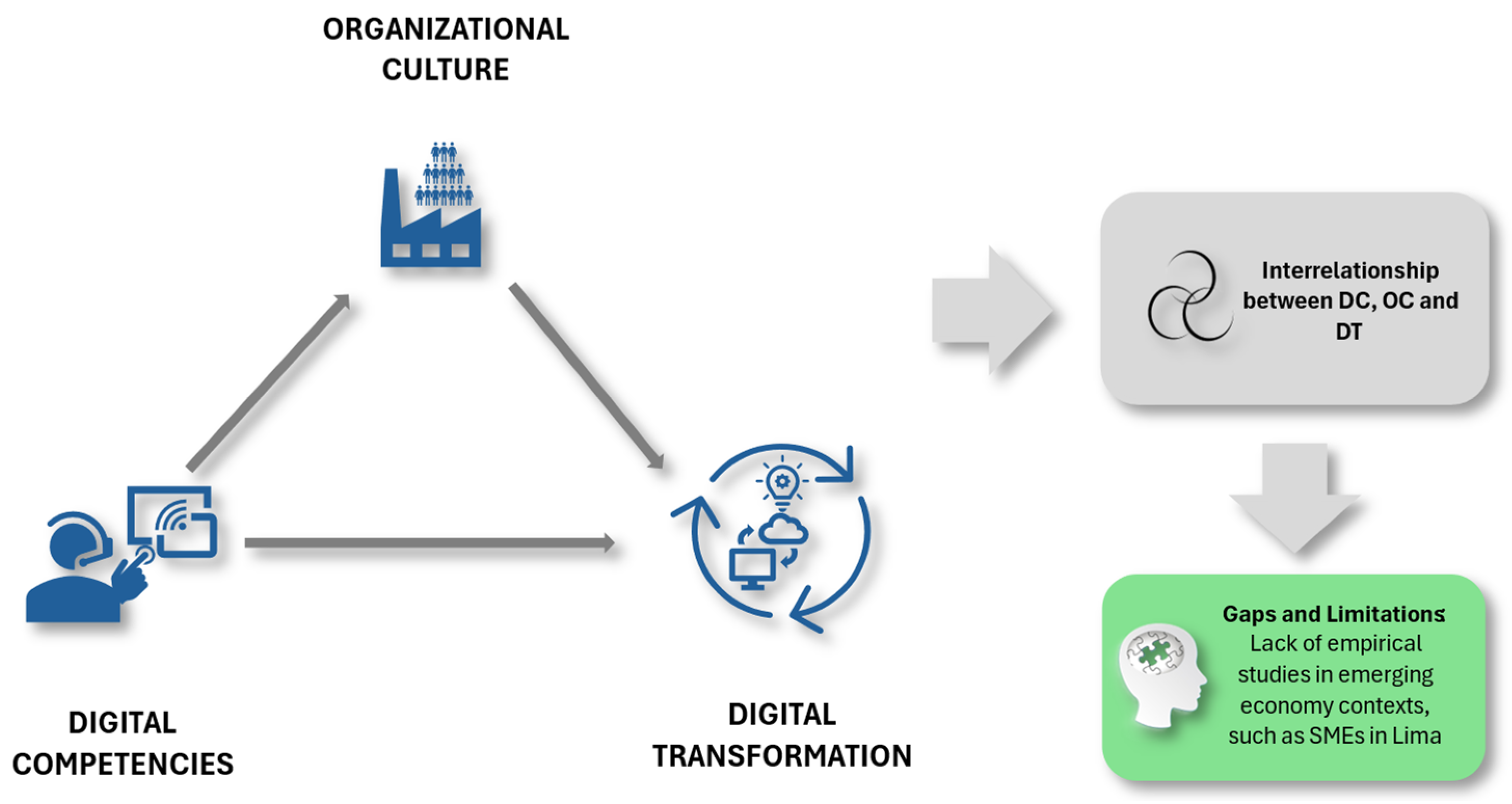 Admsci 15 00019 g001