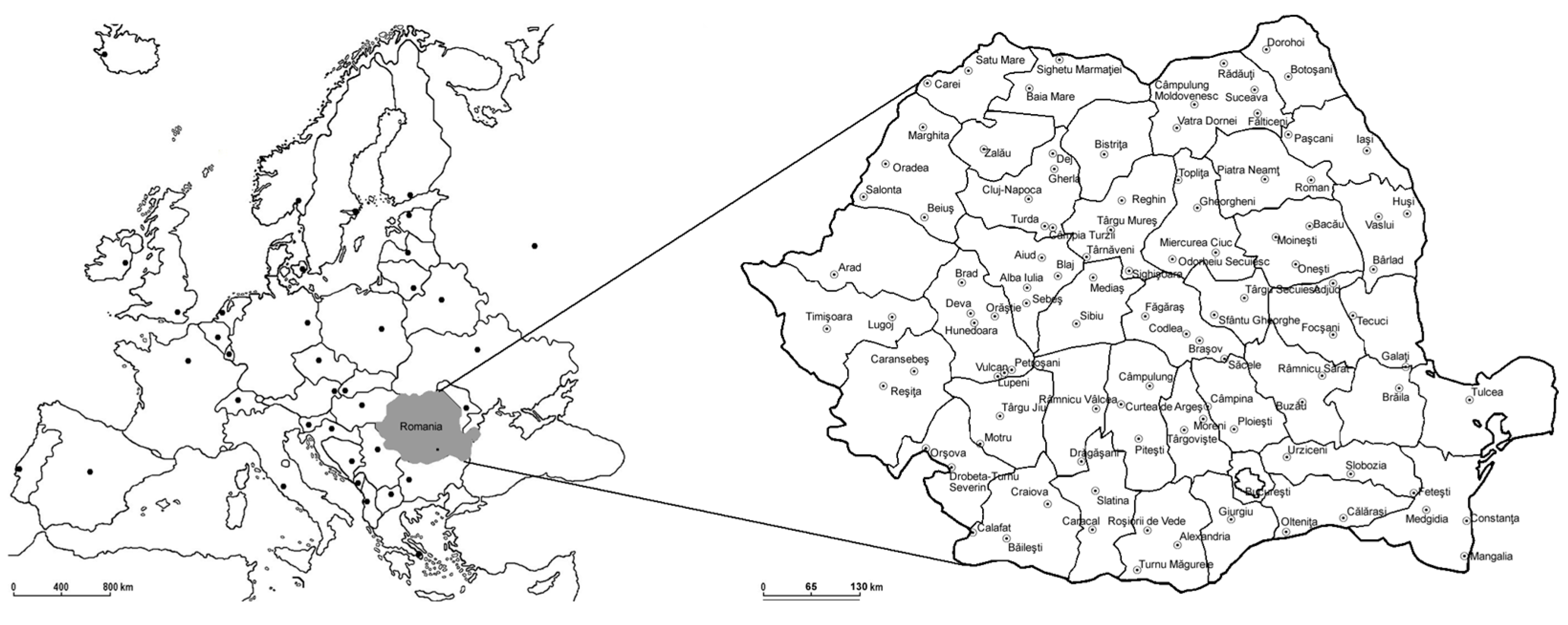 Admsci 15 00147 g001