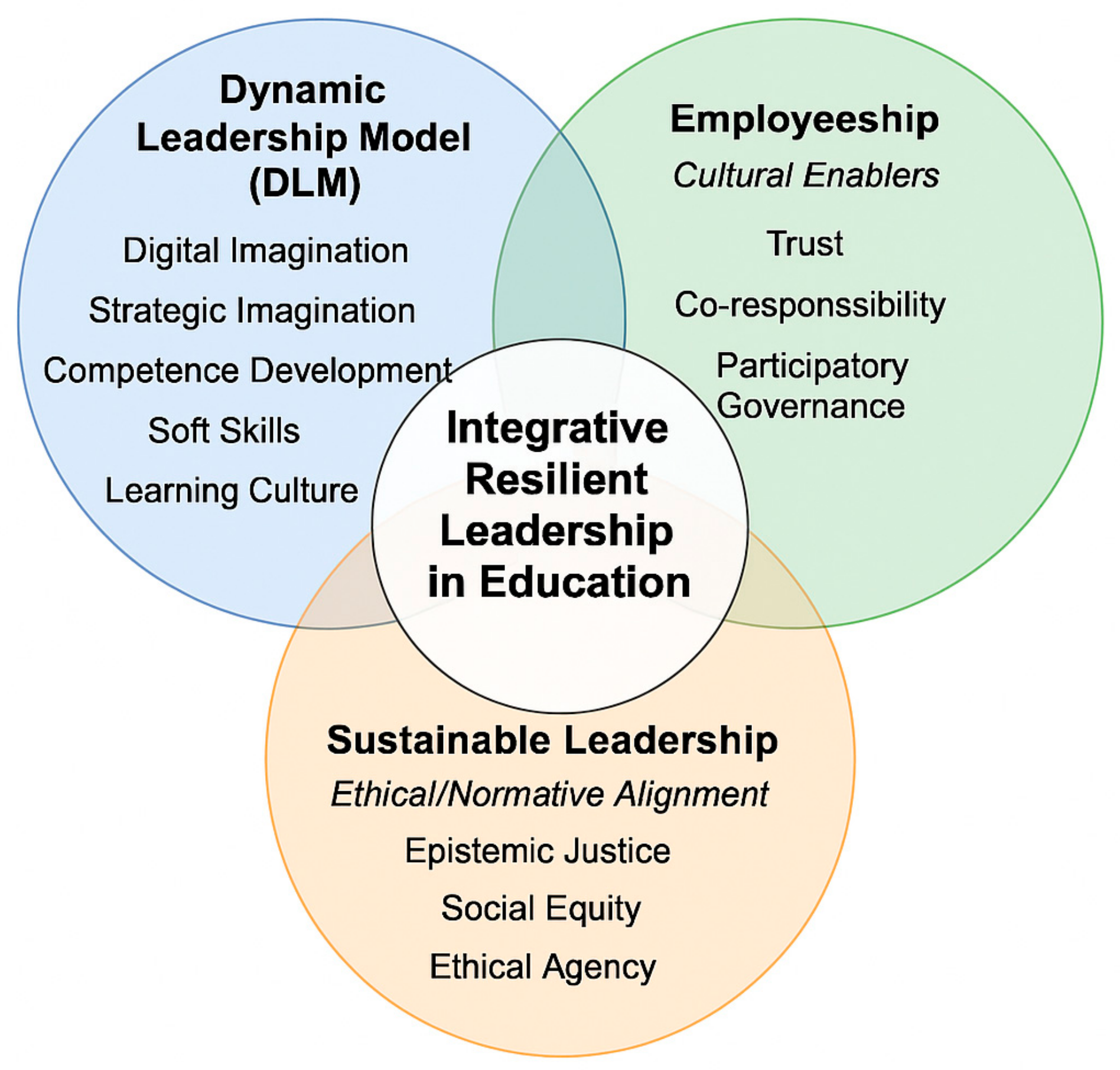 Admsci 15 00213 g001