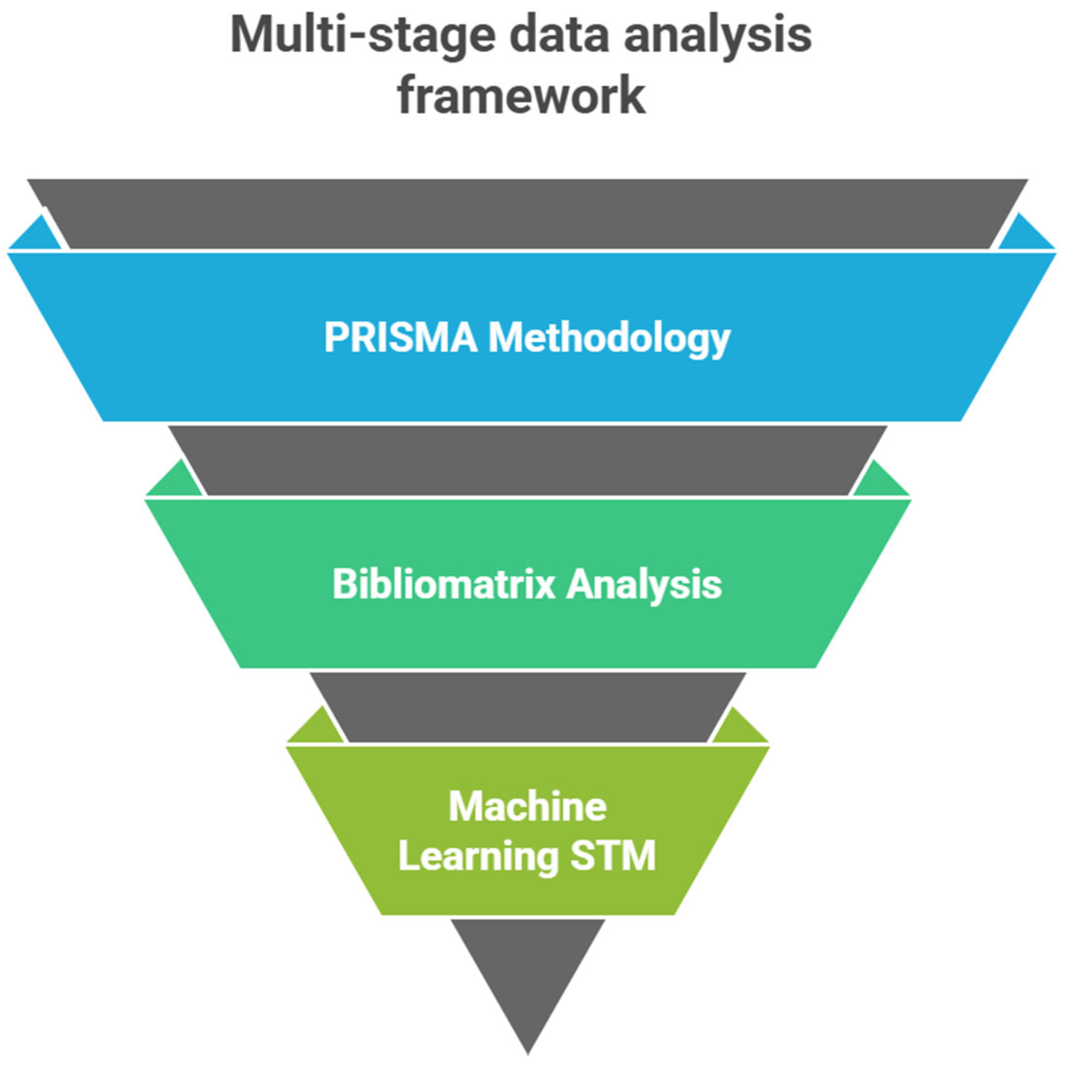 Admsci 15 00335 g004