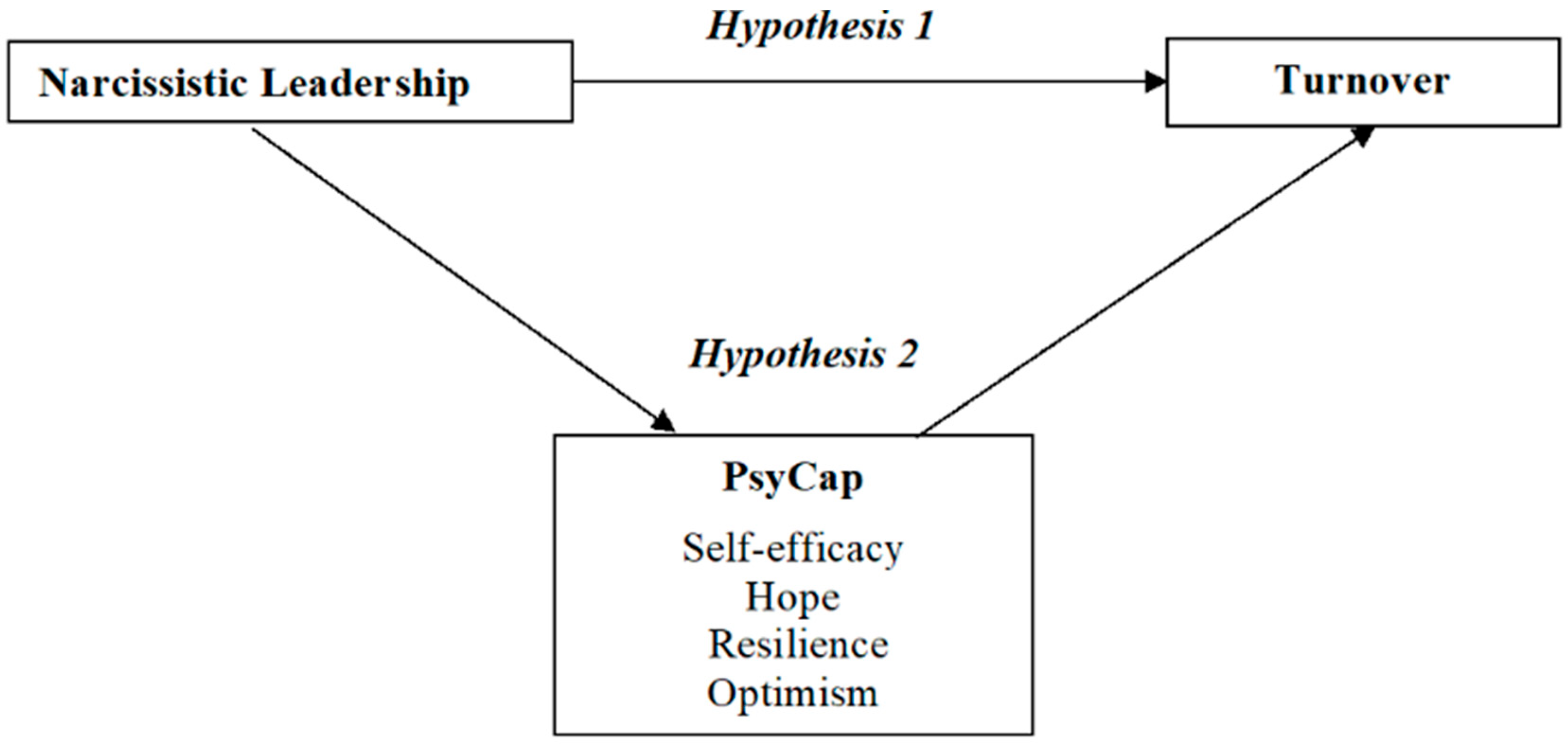 Admsci 15 00387 g001