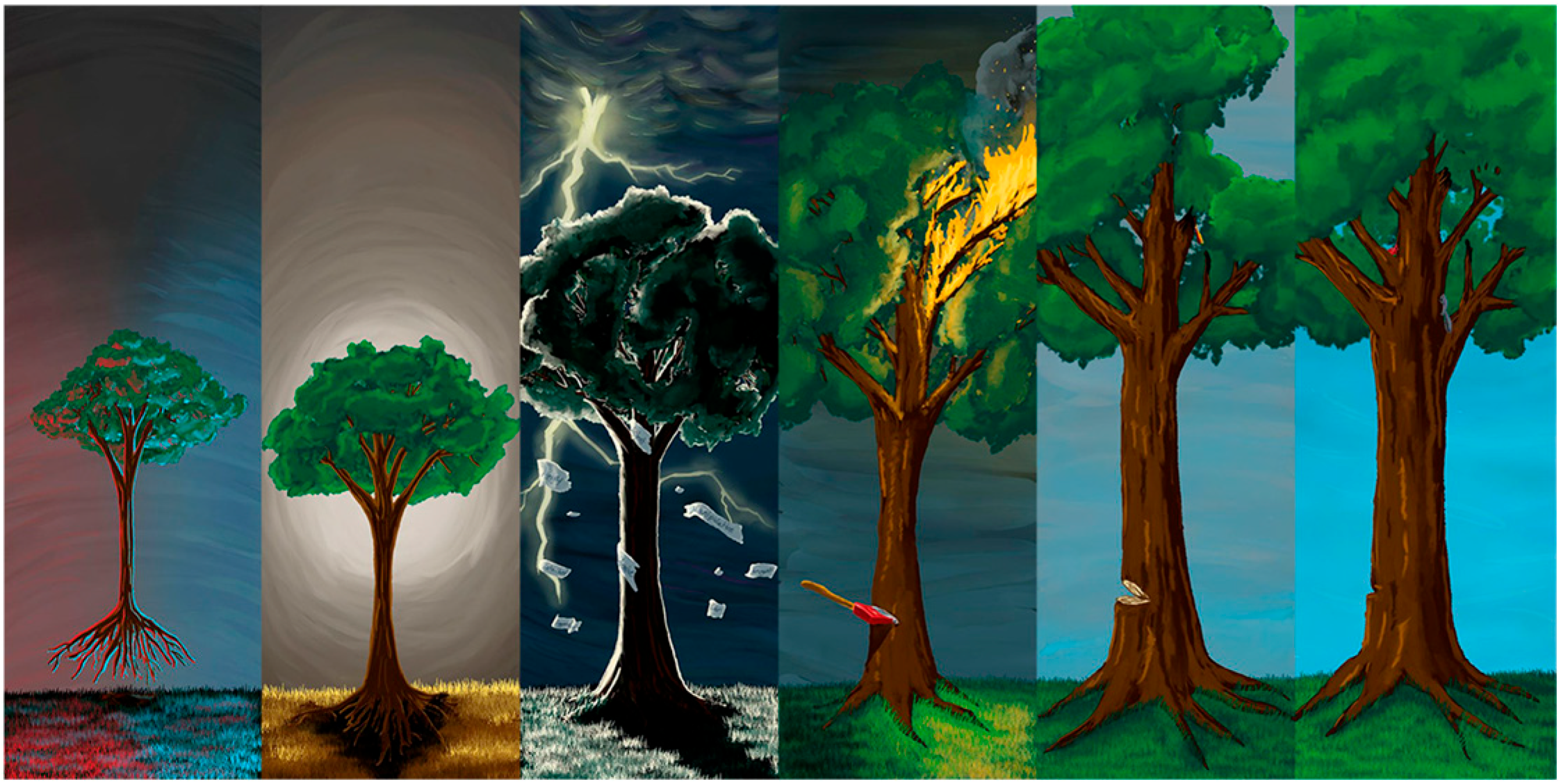 Adolescents 05 00073 g003 Adolescents 05 00073 g003