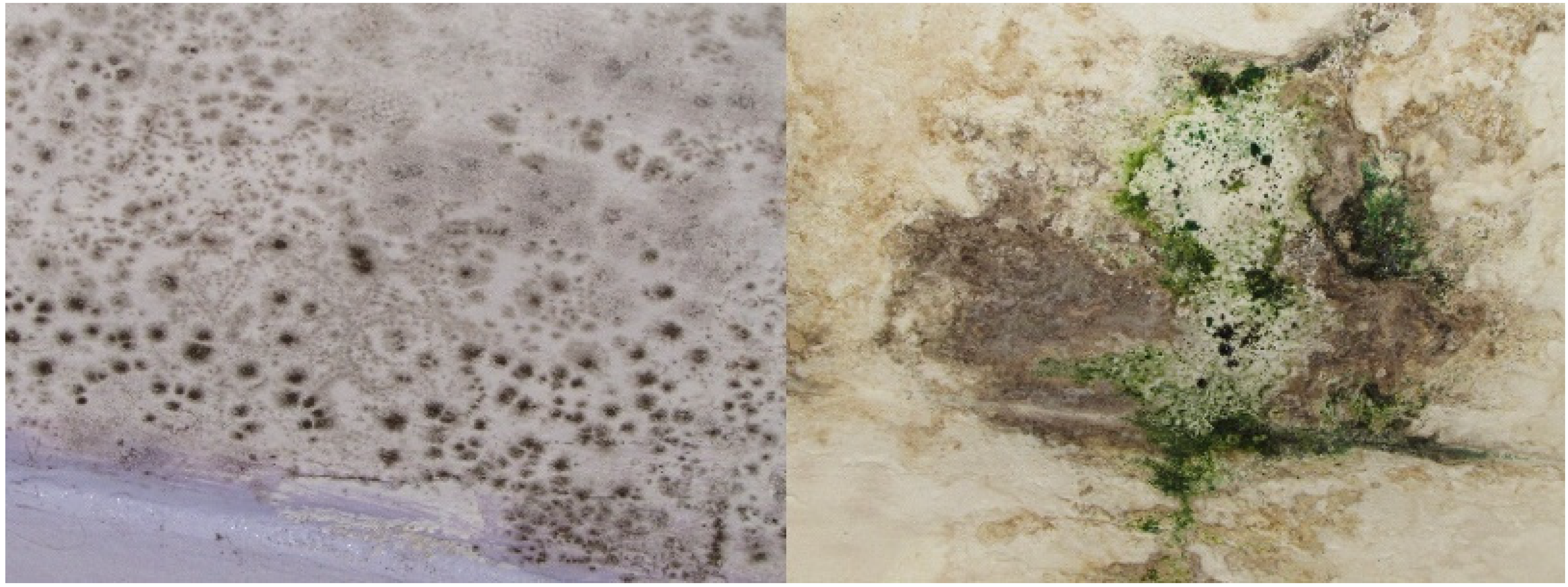 Aerobiology 01 00003 g002