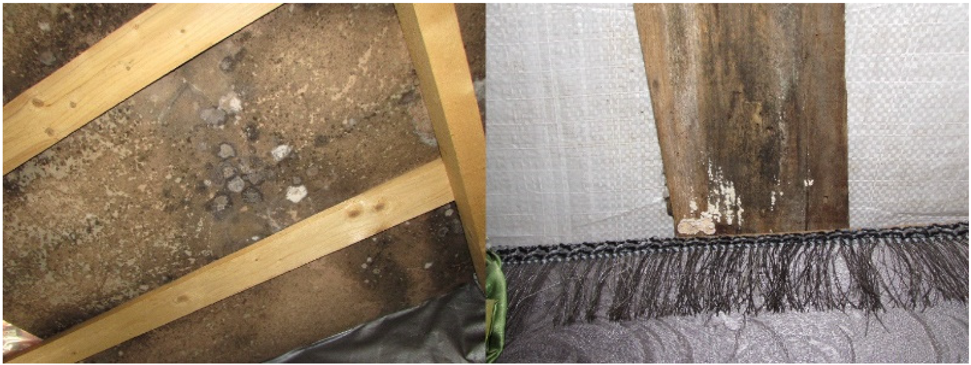 Aerobiology 01 00003 g003