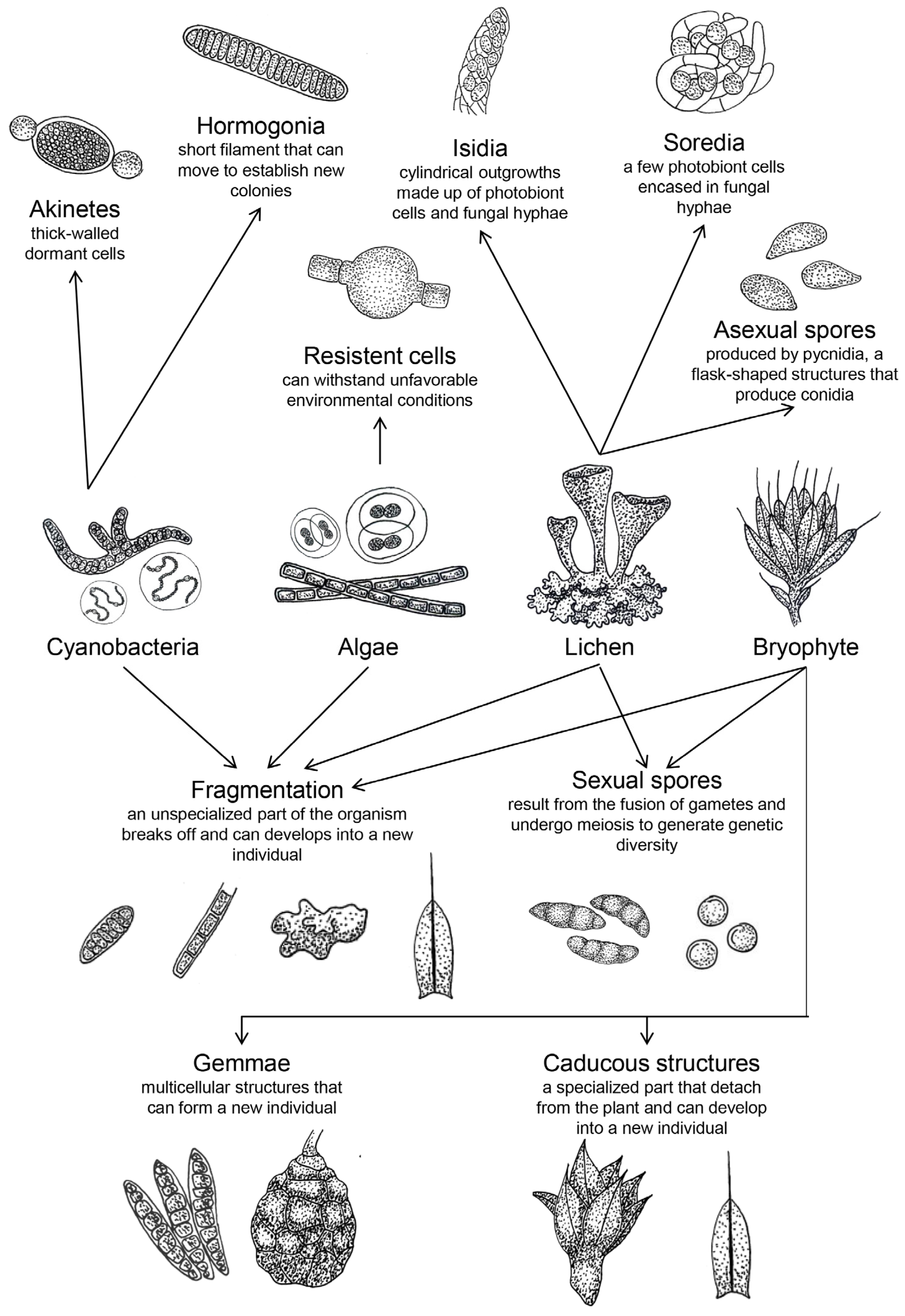 Aerobiology 03 00001 g002