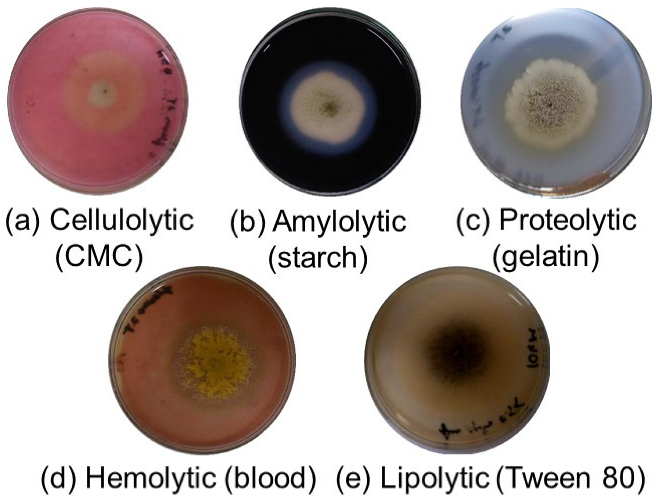 Aerobiology 03 00002 g002
