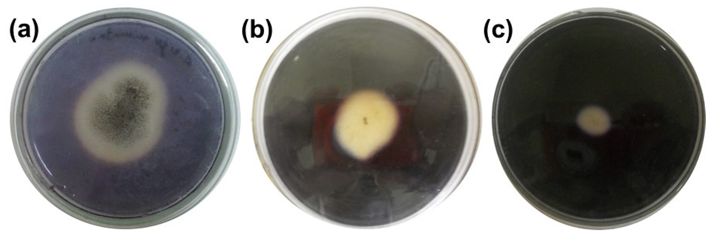 Aerobiology 03 00002 g005