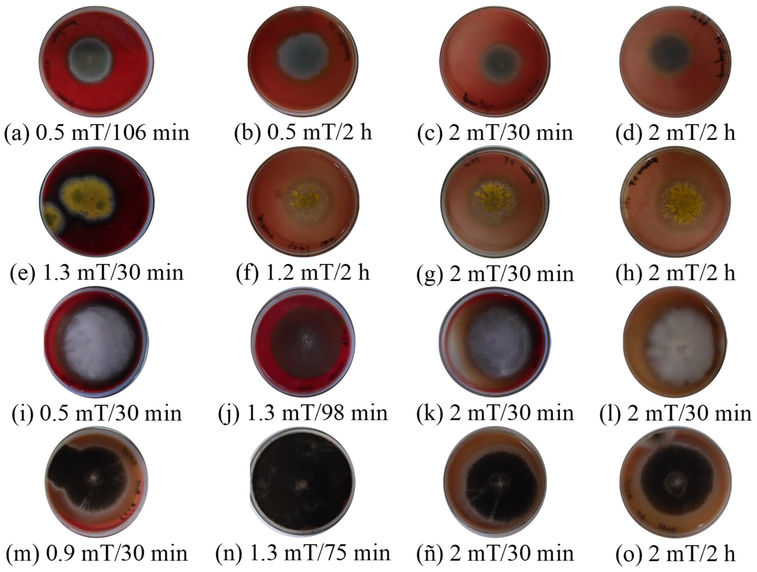 Aerobiology 03 00002 g006