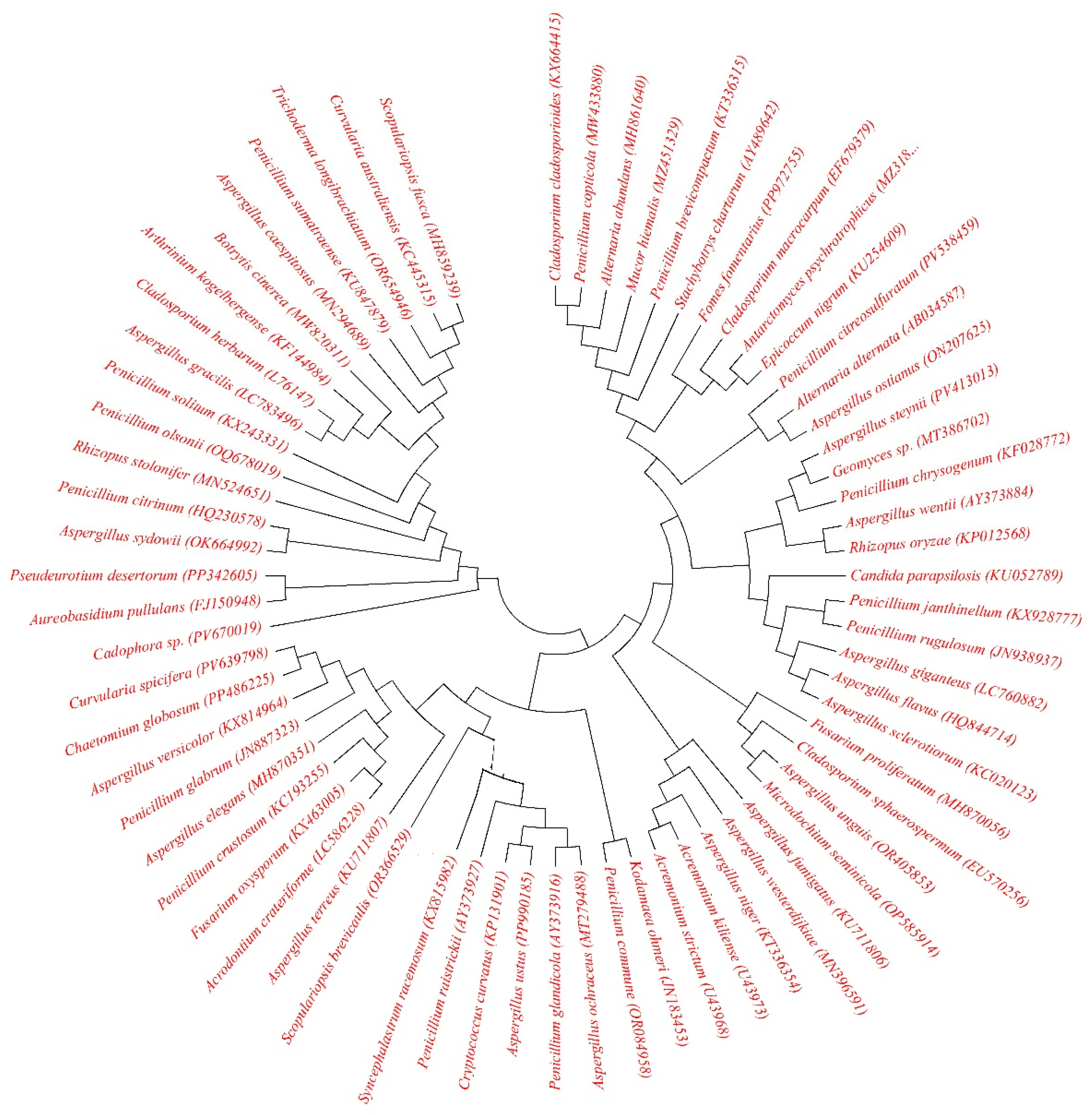 Aerobiology 03 00010 g002 Aerobiology 03 00010 g002