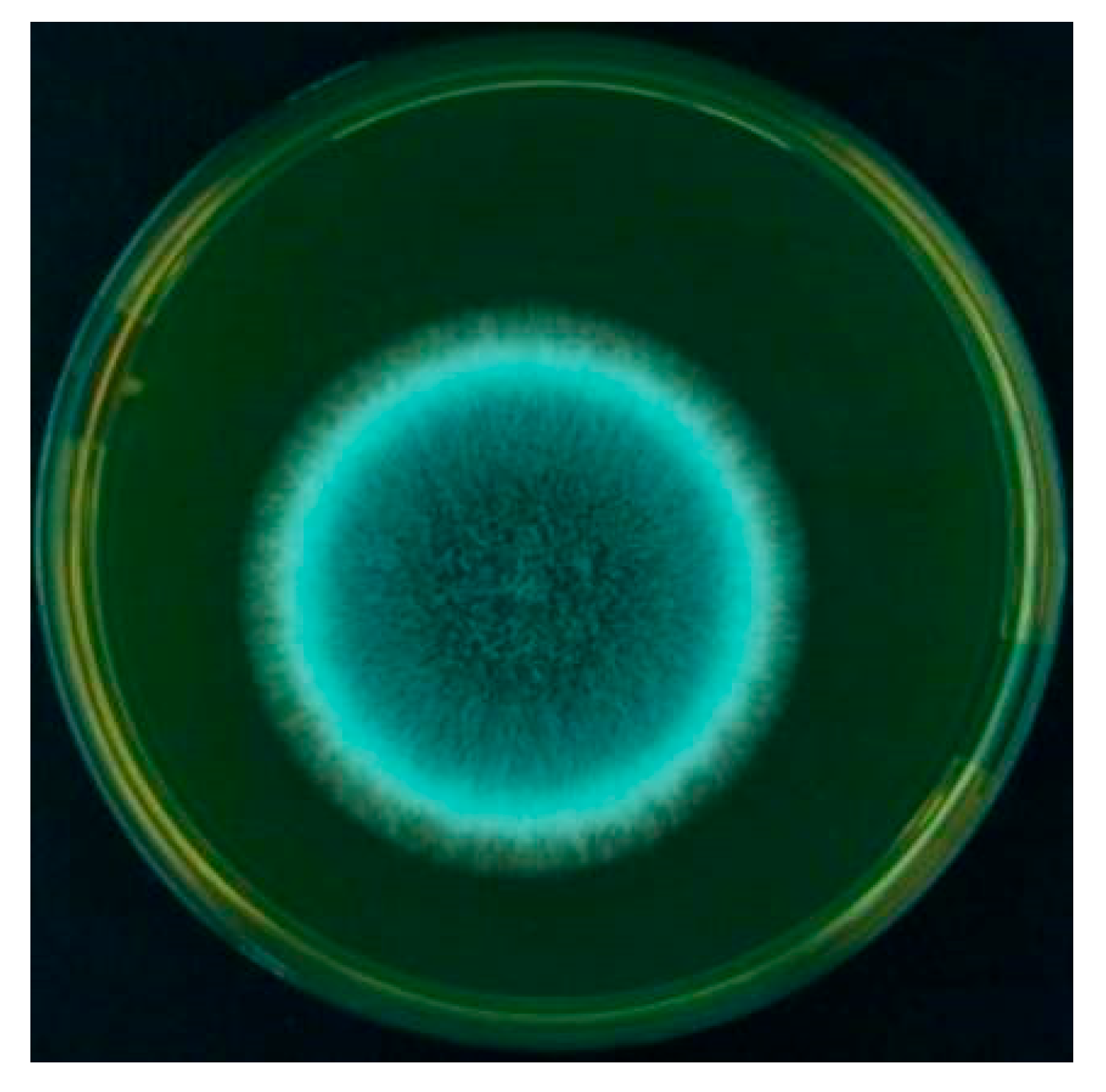 Aerobiology 04 00003 g005 Aerobiology 04 00003 g005