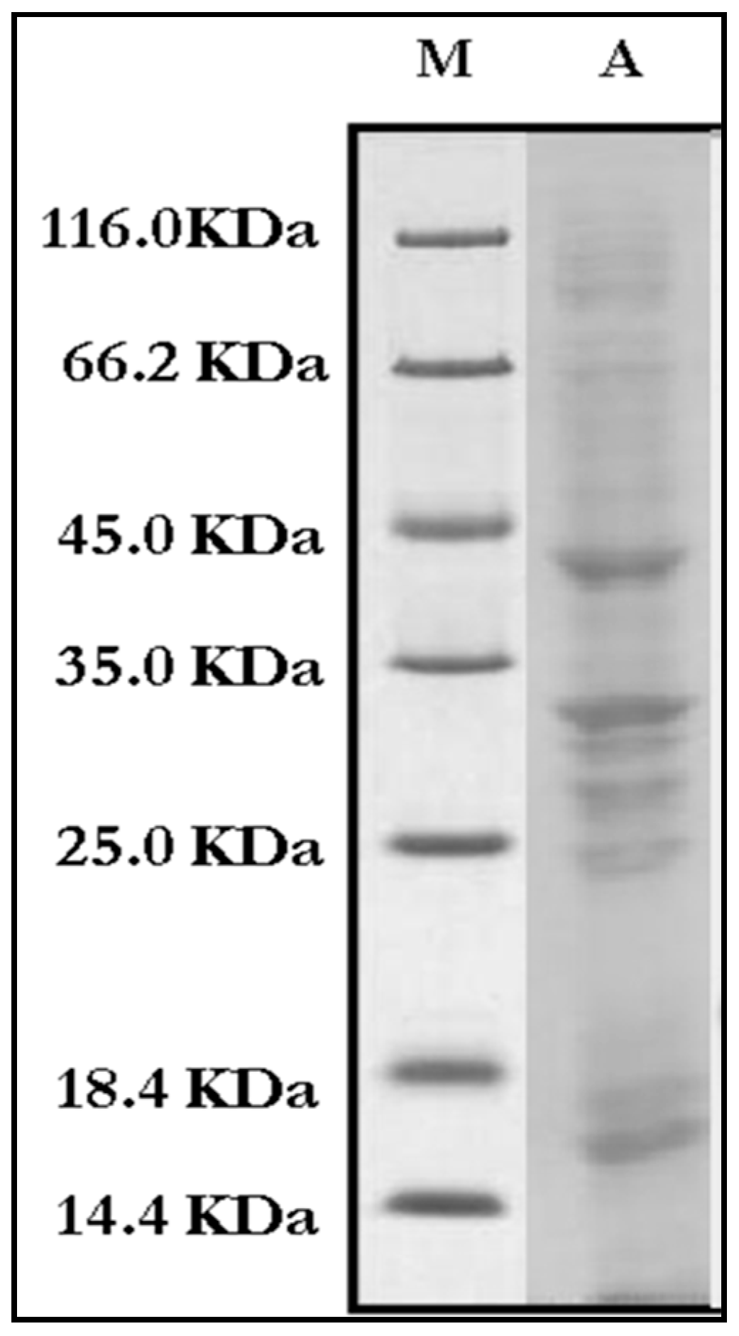 Aerobiology 04 00003 g012 Aerobiology 04 00003 g012