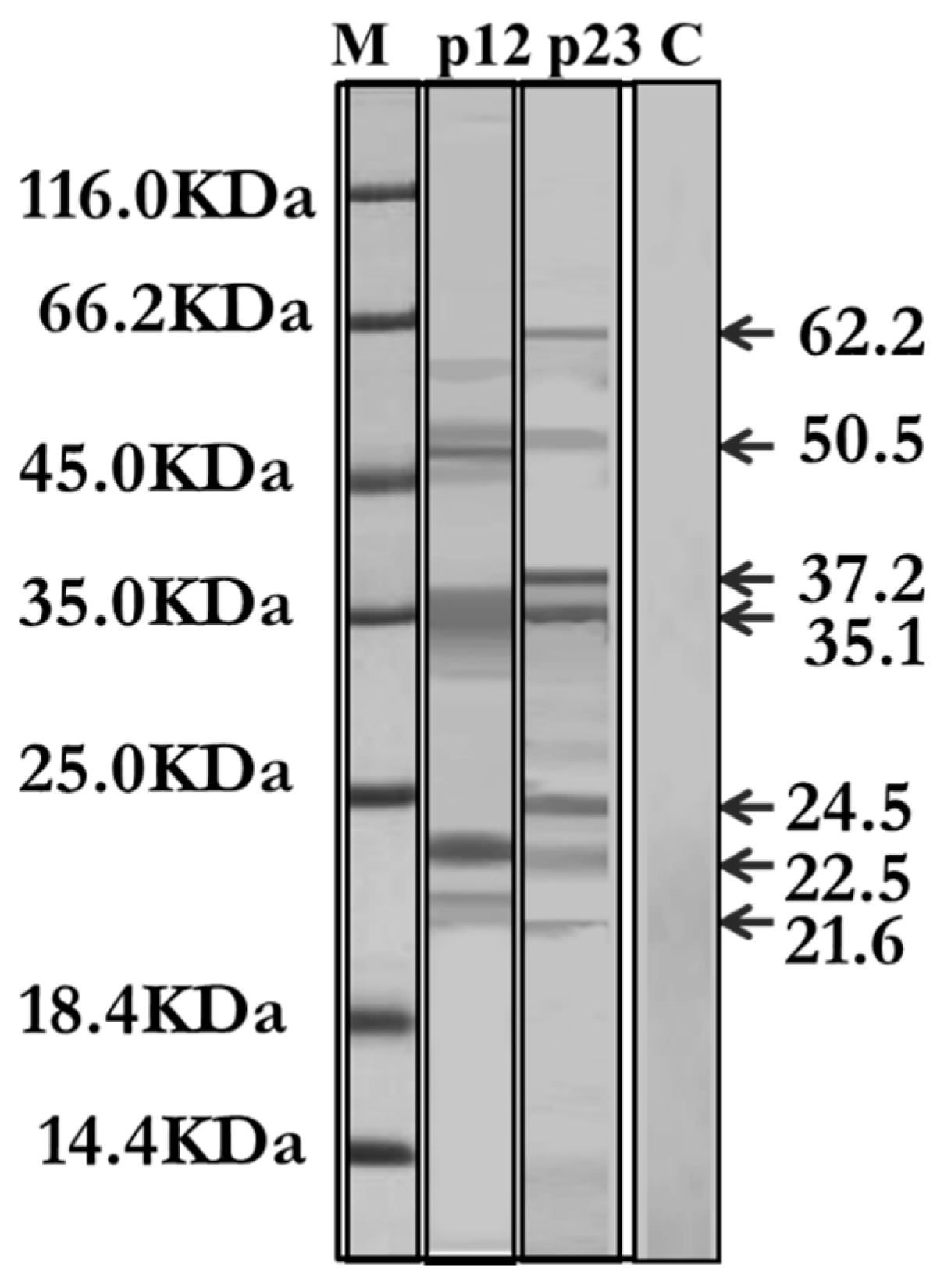 Aerobiology 04 00003 g013 Aerobiology 04 00003 g013