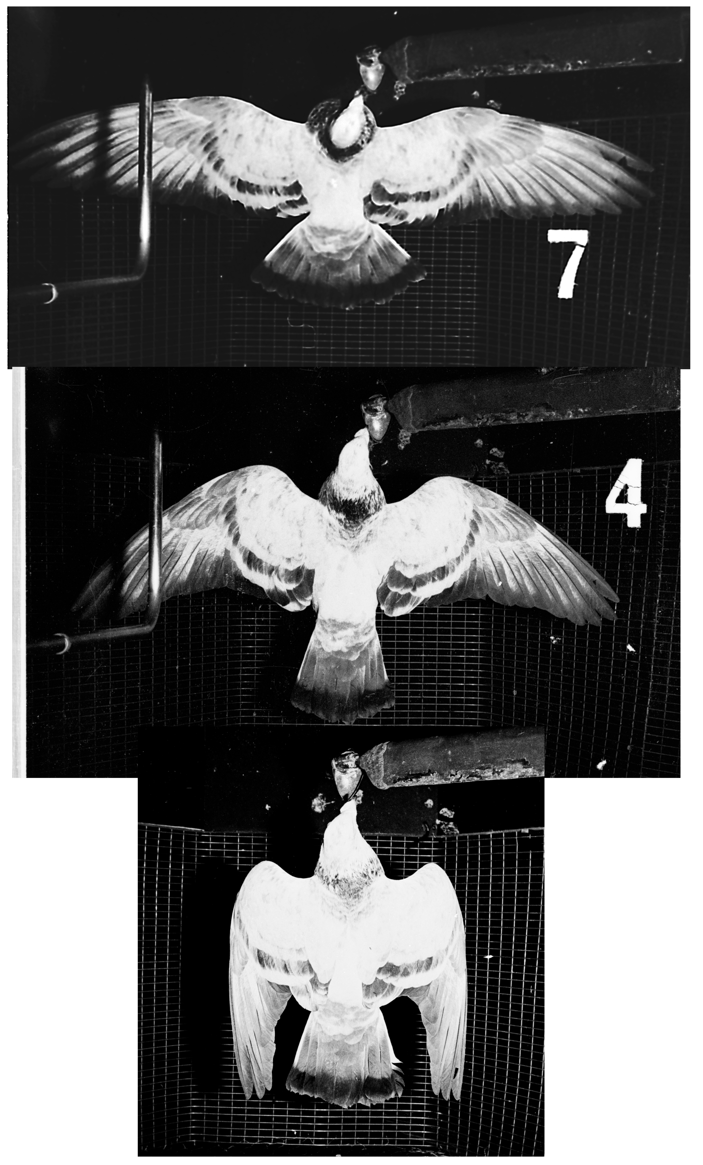 Aerospace 02 00505 g003 1024