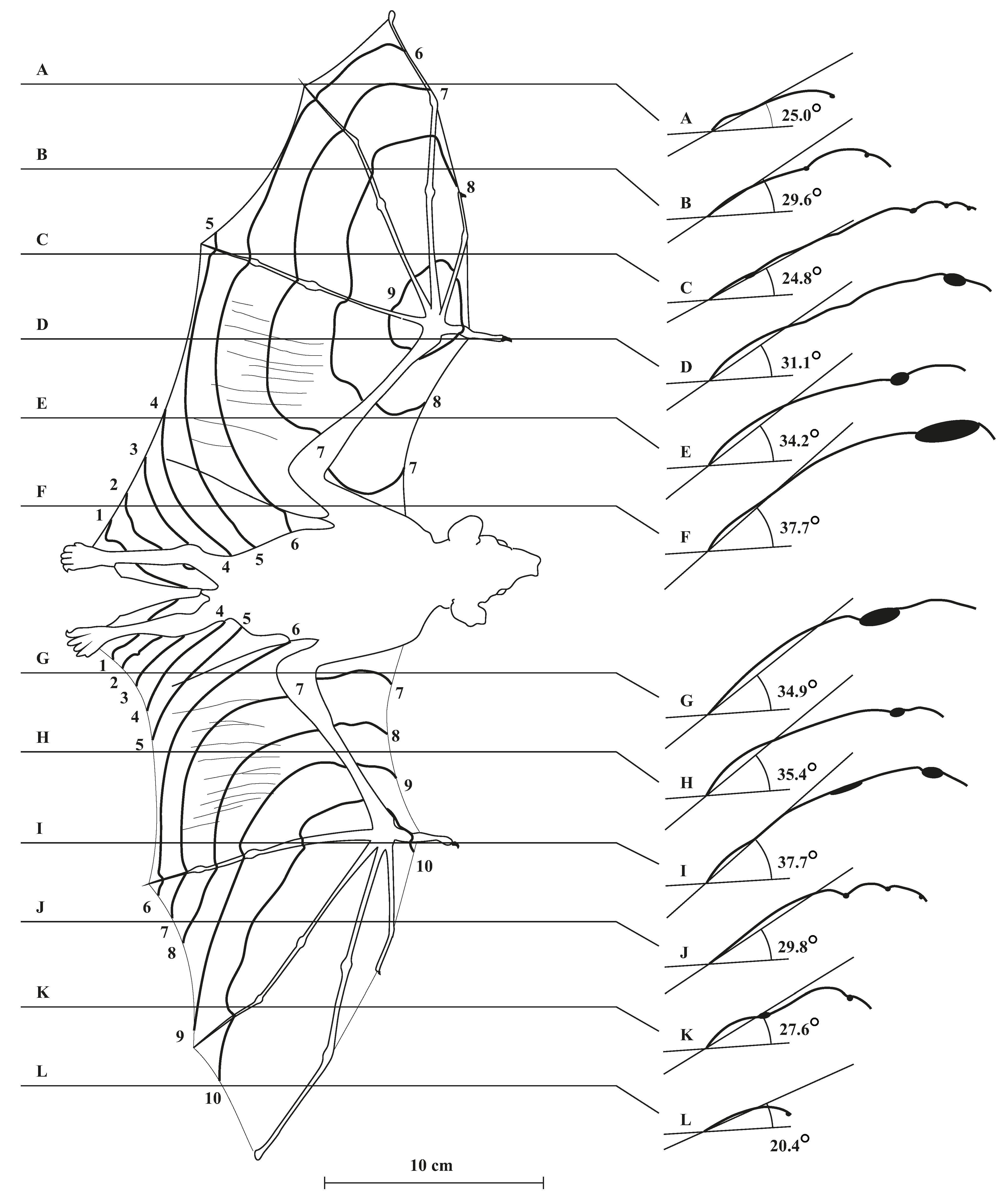 Aerospace 02 00505 g008 1024