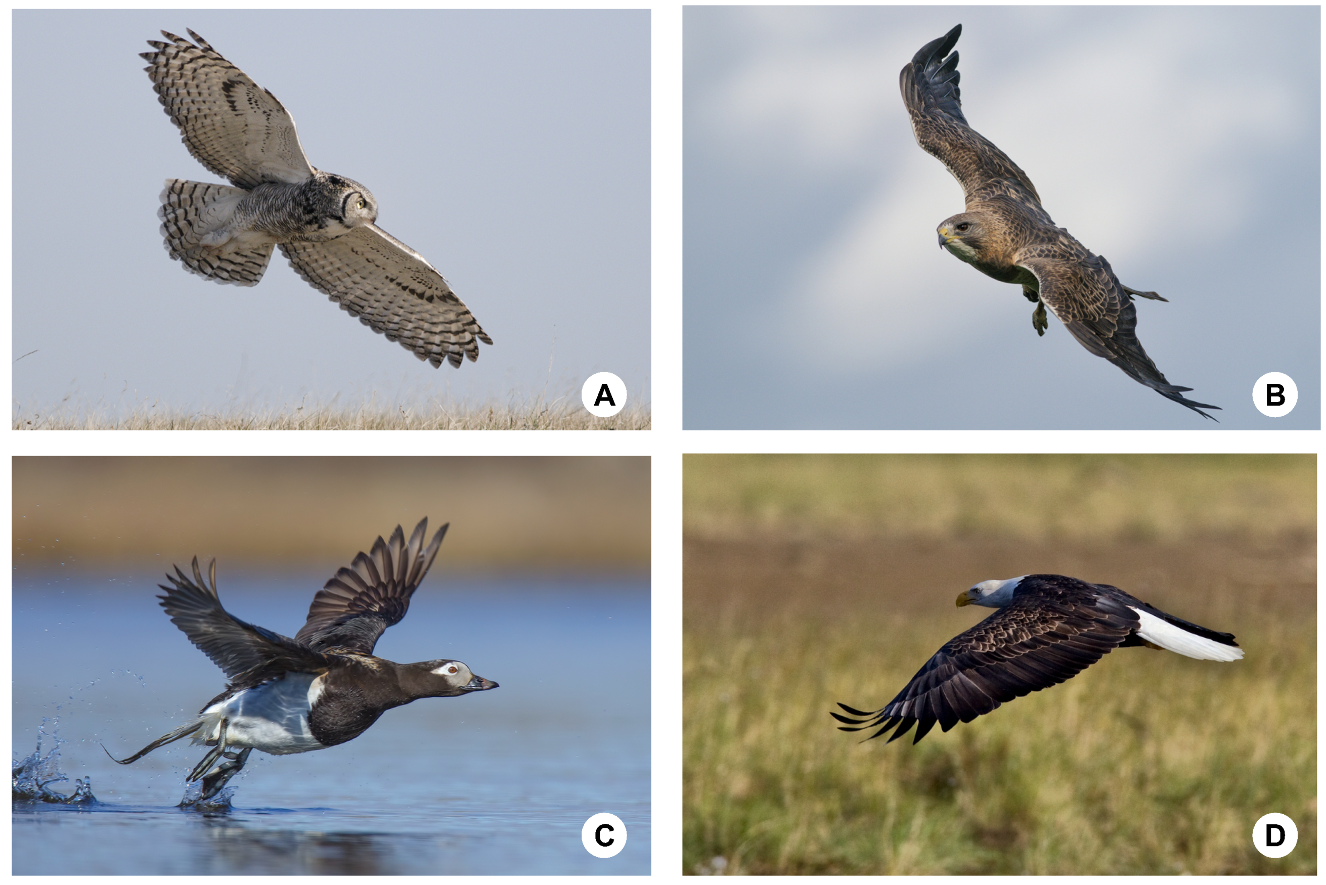 Aerospace 05 00126 g001