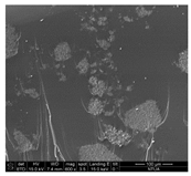 Aerospace 06 00007 i002 Aerospace 06 00007 i002