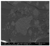 Aerospace 06 00007 i003 Aerospace 06 00007 i003