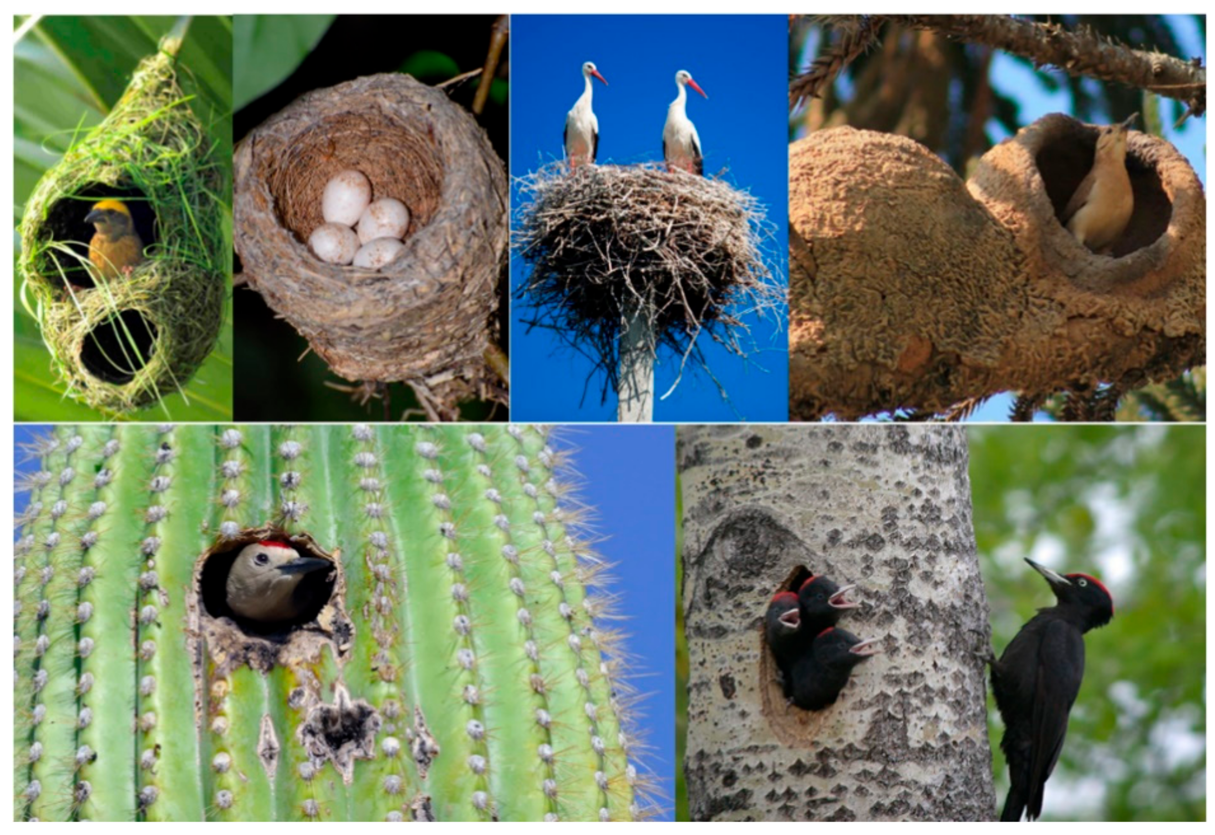 Aerospace 06 00125 g002 550