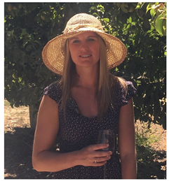 Aerospace 08 00179 i001