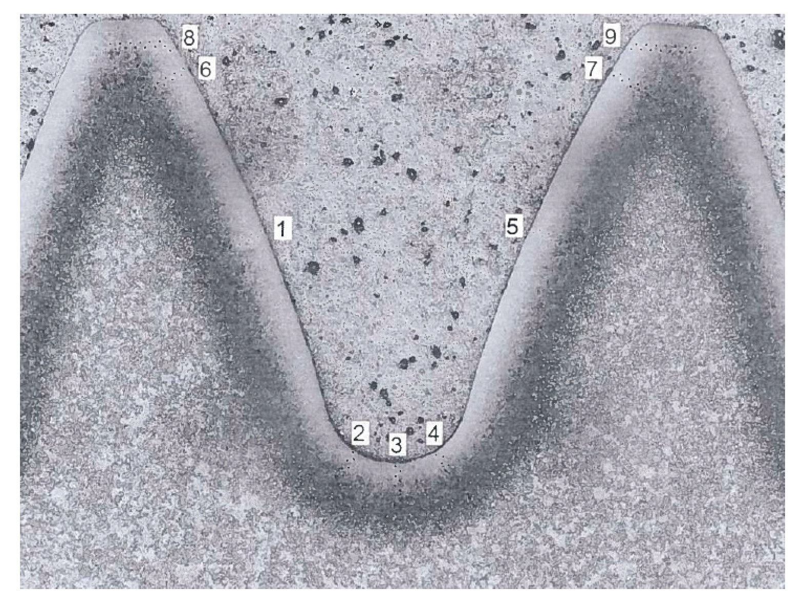 Aerospace 09 00131 g019 550